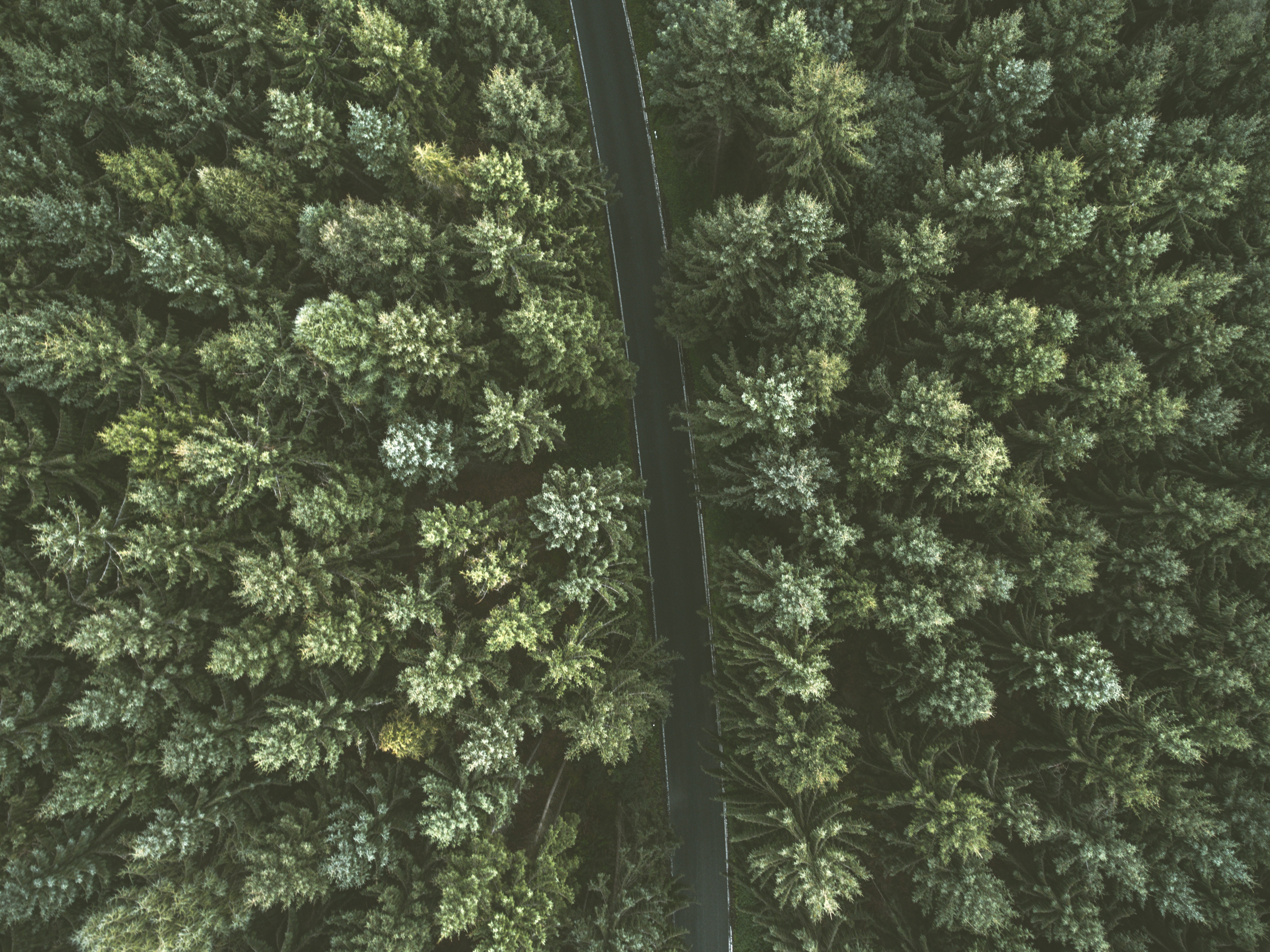 Download mobile wallpaper Nature, View From Above, Trees, Road for free.