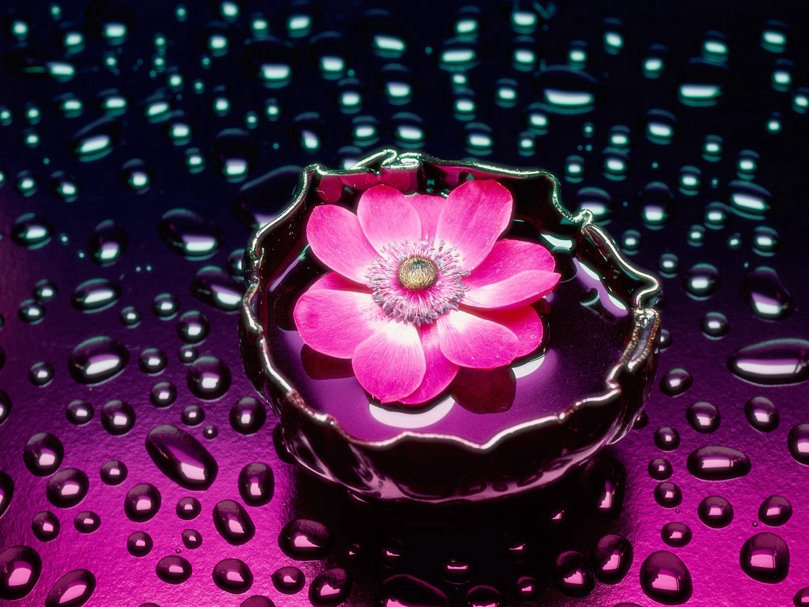 Download mobile wallpaper Water, Flowers, Flower, Vase, Drops, Background for free.