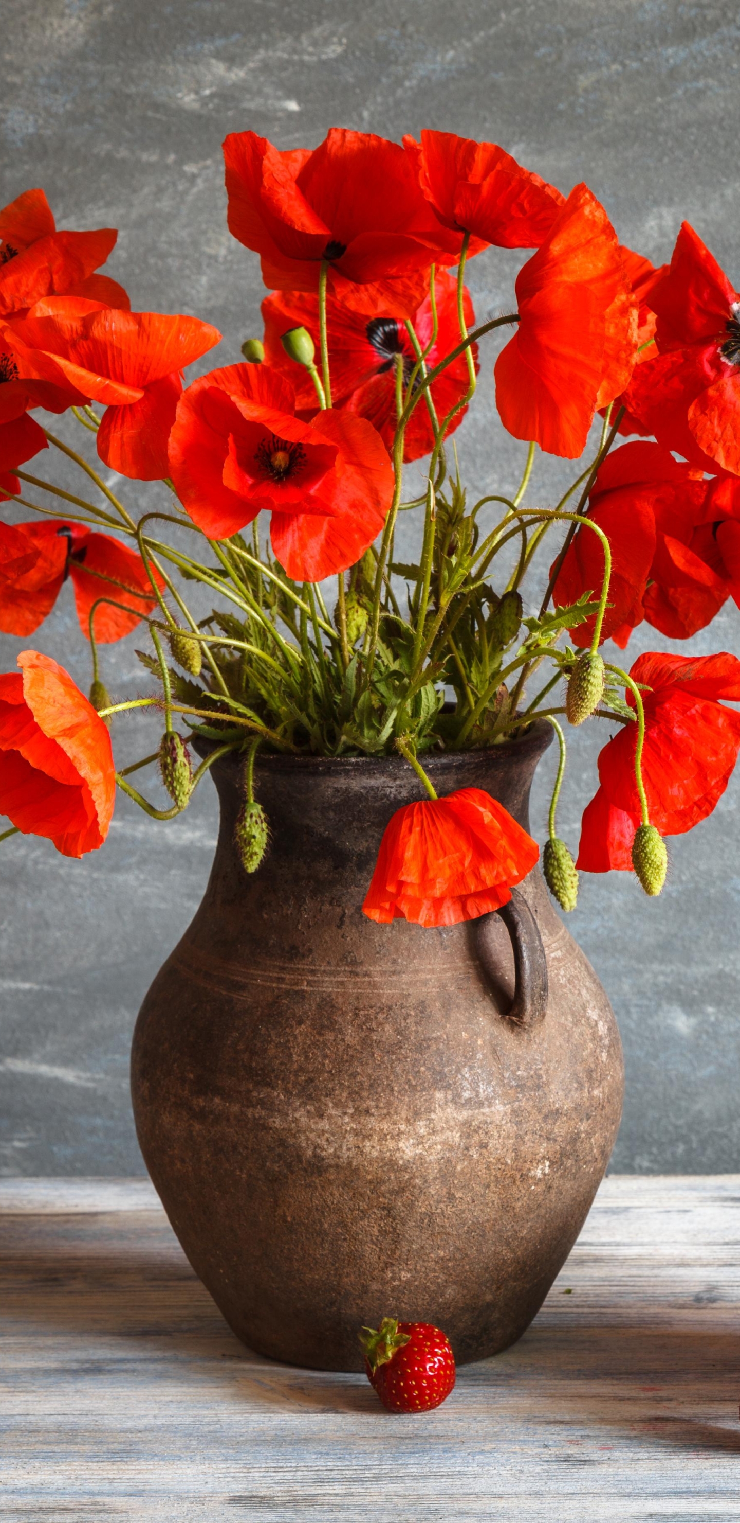 Handy-Wallpaper Mohn, Blume, Vase, Fotografie, Rote Blume, Stillleben kostenlos herunterladen.