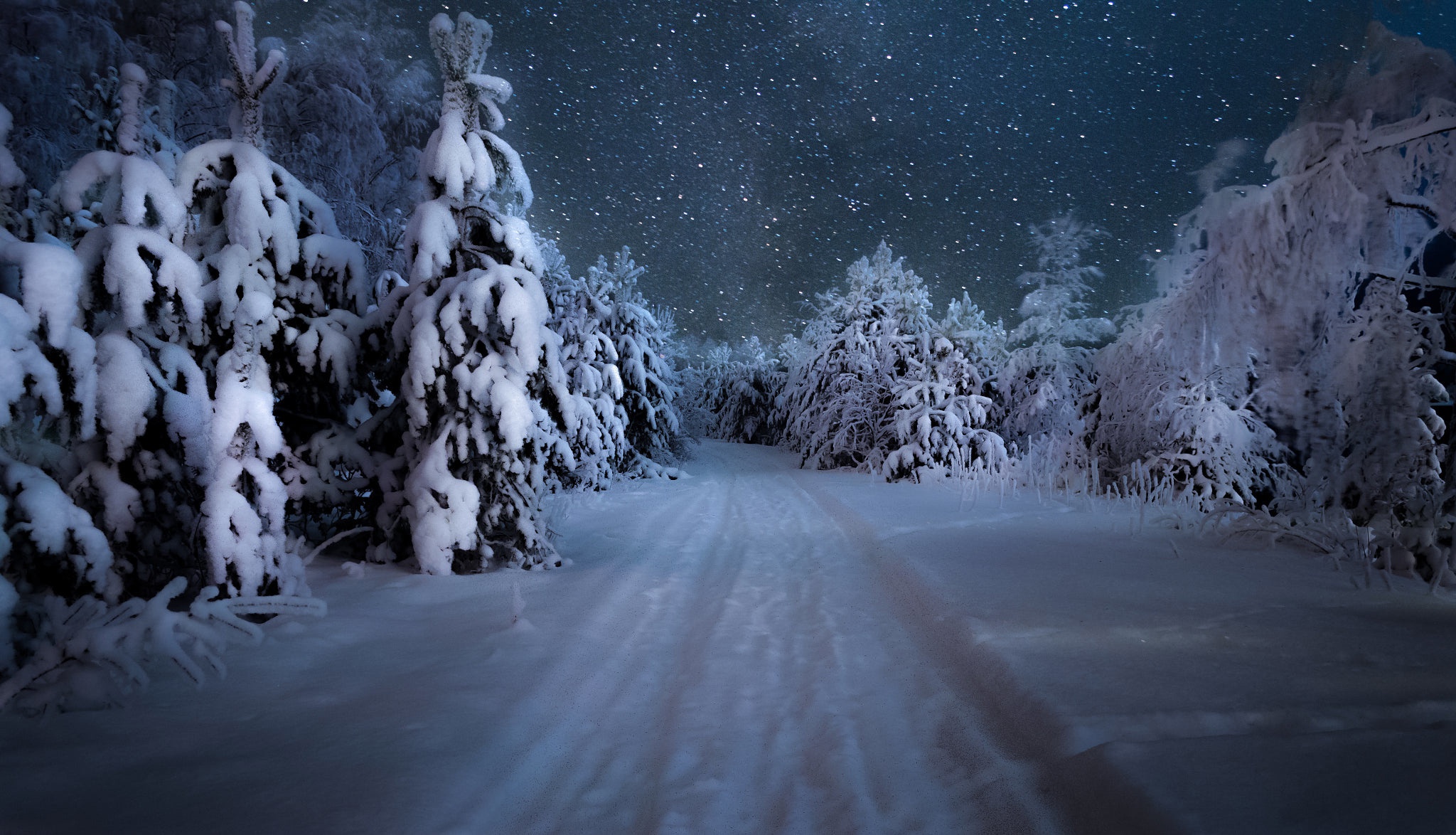Descarga gratis la imagen Invierno, Estrellas, Noche, Nieve, Camino, Árbol, Cielo Estrellado, Tierra/naturaleza en el escritorio de tu PC