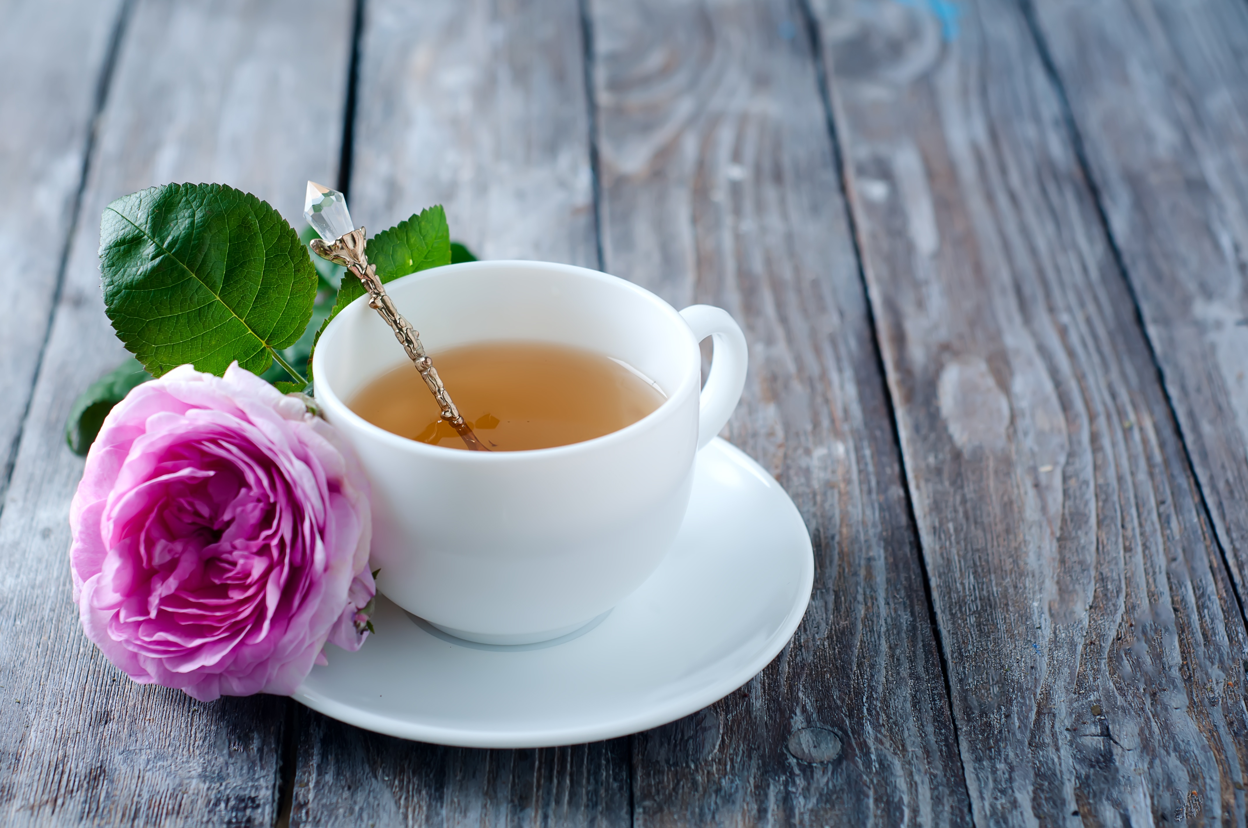 Free download wallpaper Food, Flower, Cup, Tea on your PC desktop