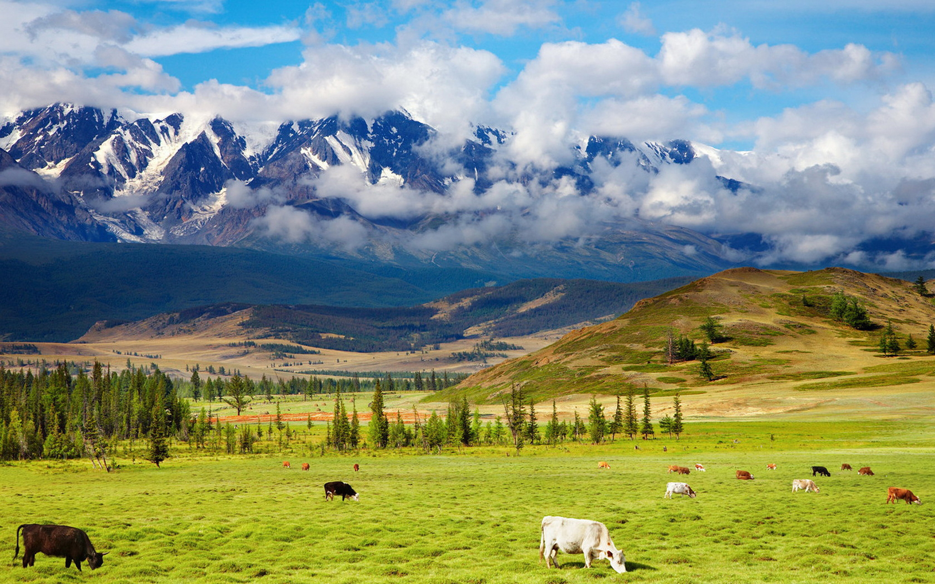 Descarga gratis la imagen Montañas, Montaña, Tierra/naturaleza en el escritorio de tu PC