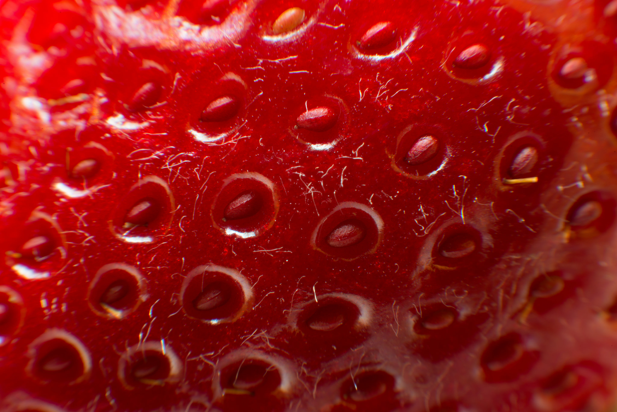 Laden Sie das Erdbeere, Makro, Nahrungsmittel, Früchte-Bild kostenlos auf Ihren PC-Desktop herunter