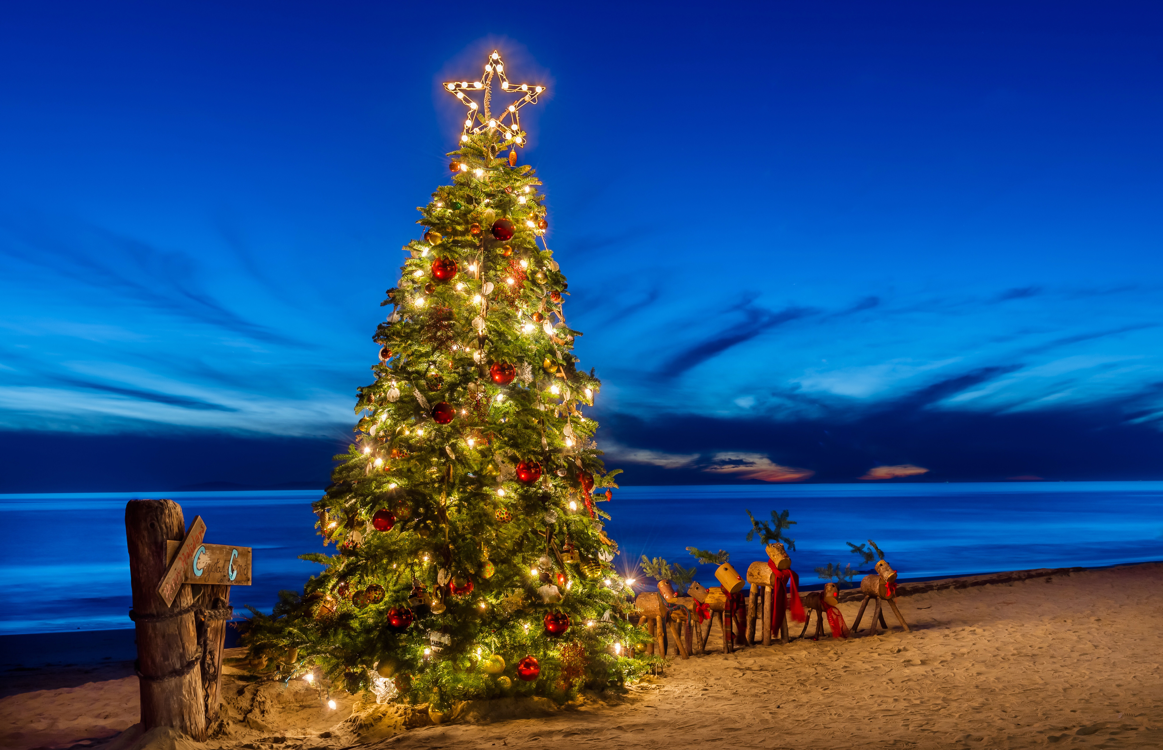 Handy-Wallpaper Feiertage, Strand, Weihnachten, Horizont, Ozean, Weihnachtsbaum, Himmel kostenlos herunterladen.