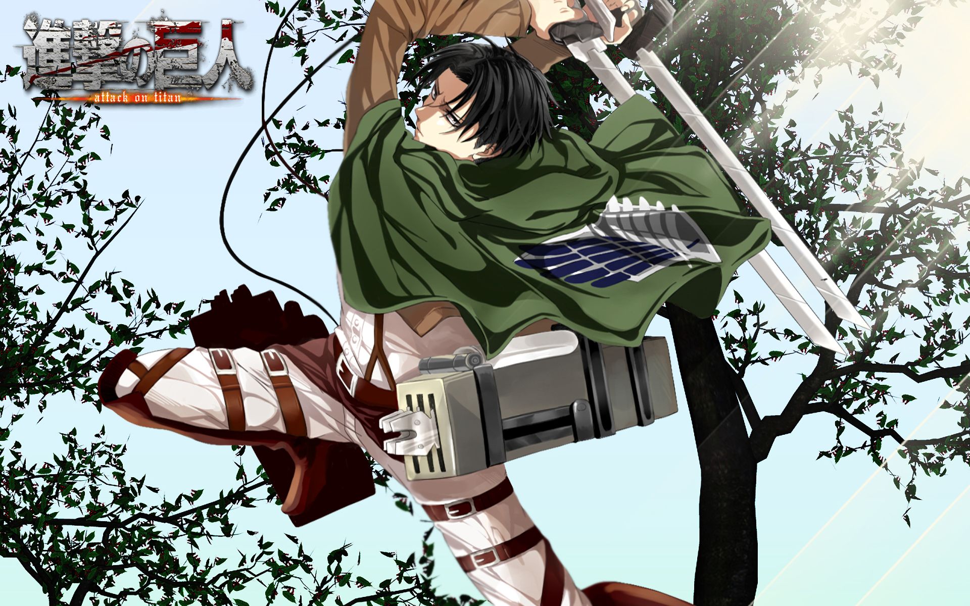 Download mobile wallpaper Anime, Shingeki No Kyojin, Attack On Titan, Levi Ackerman for free.