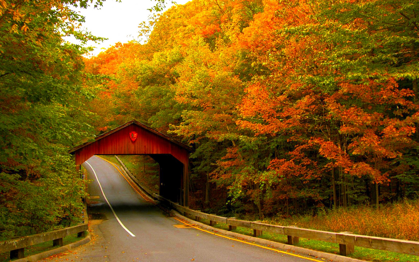 396480 baixar papel de parede feito pelo homem, ponte coberta, outono, estrada, pontes - protetores de tela e imagens gratuitamente