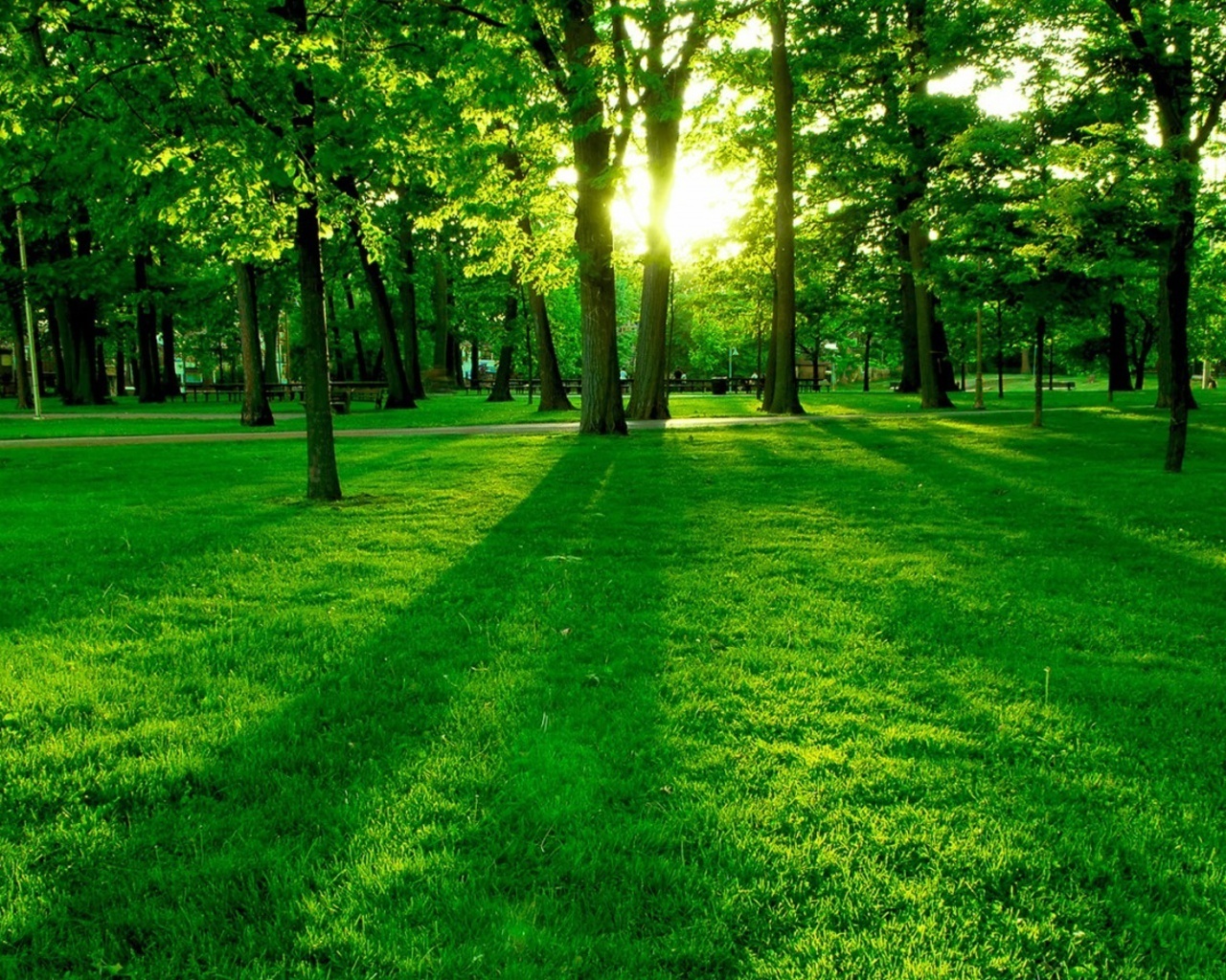 Free download wallpaper Park, Sunlight, Photography on your PC desktop