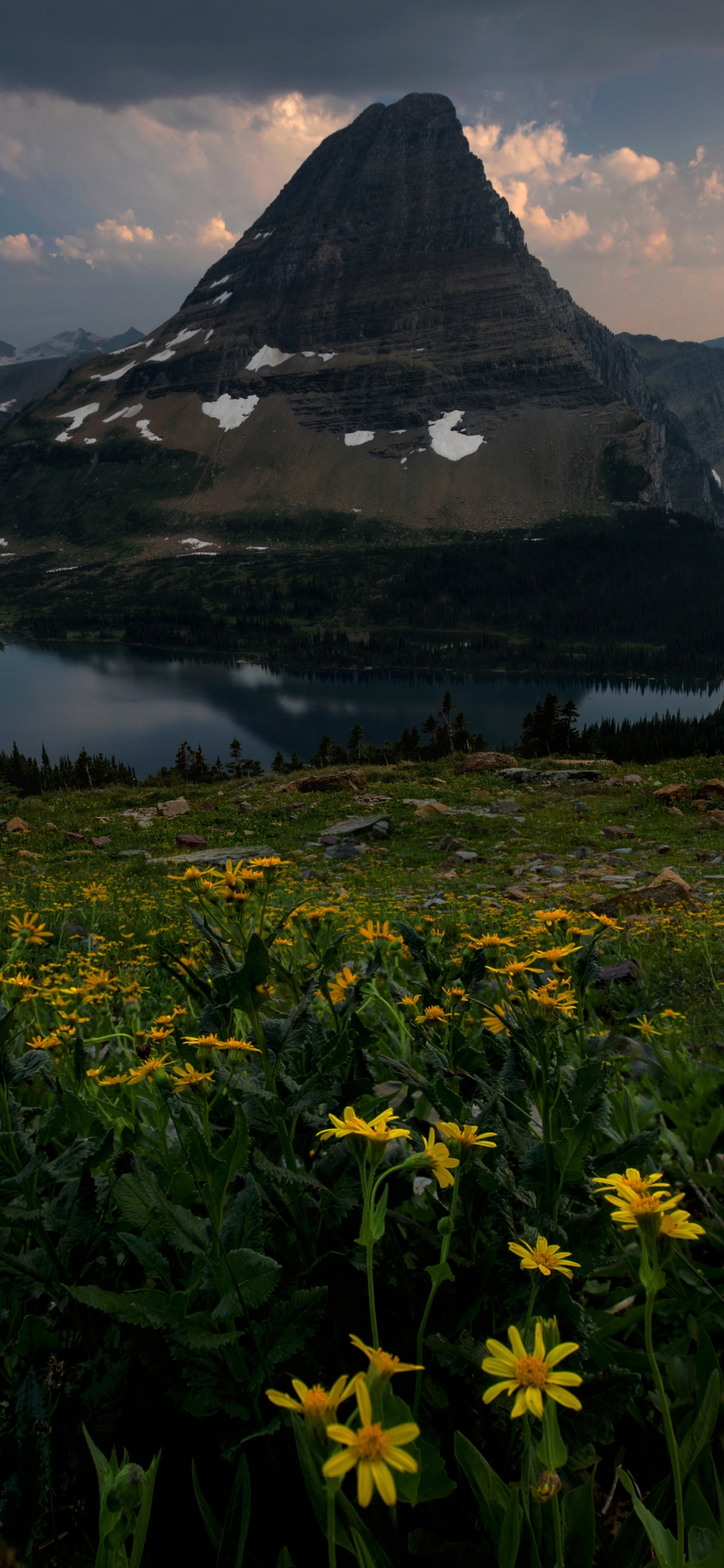 Download mobile wallpaper Landscape, Nature, Lakes, Mountain, Peak, Lake, Flower, Earth, Yellow Flower for free.
