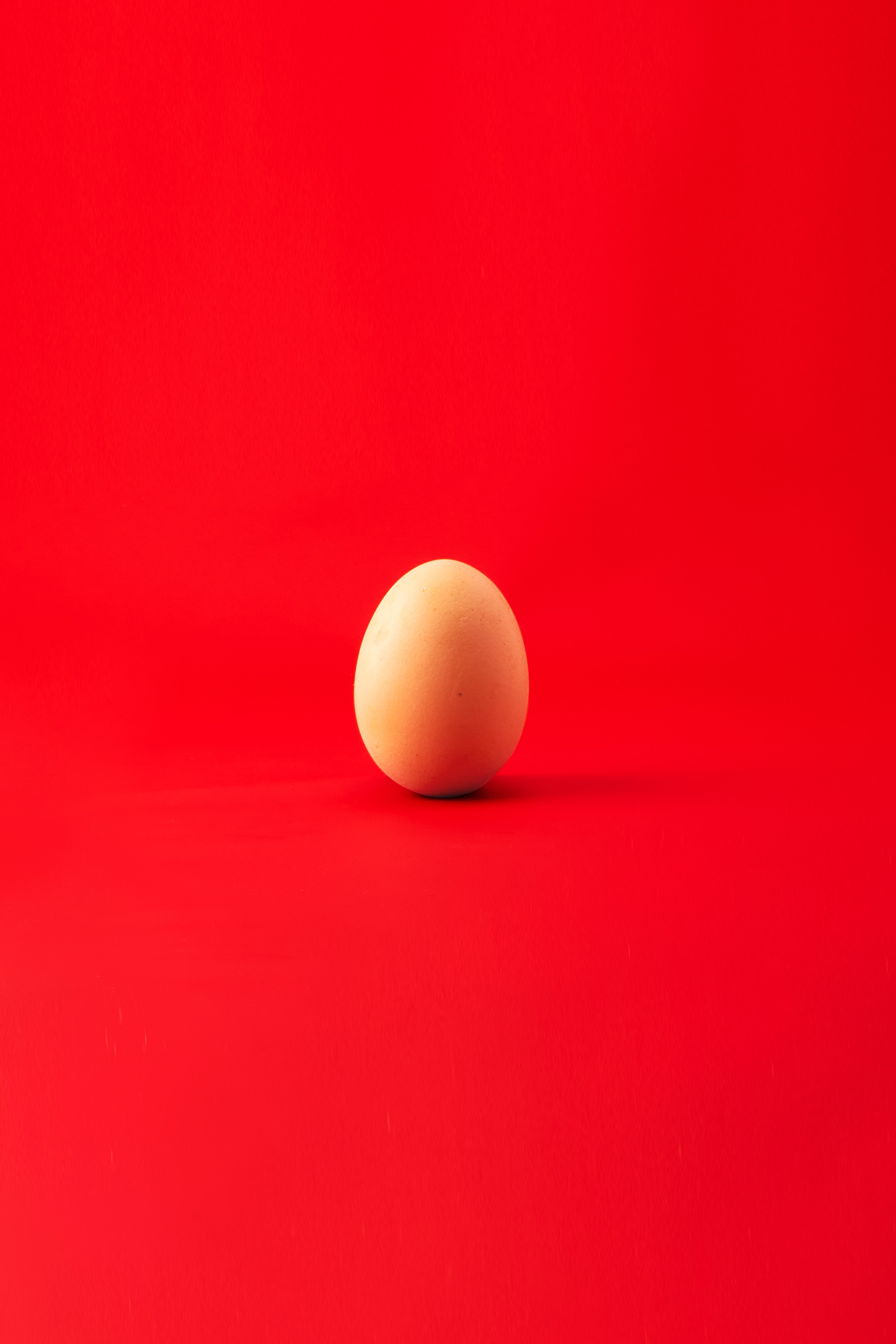 egg, minimalism, red, chicken egg 5K