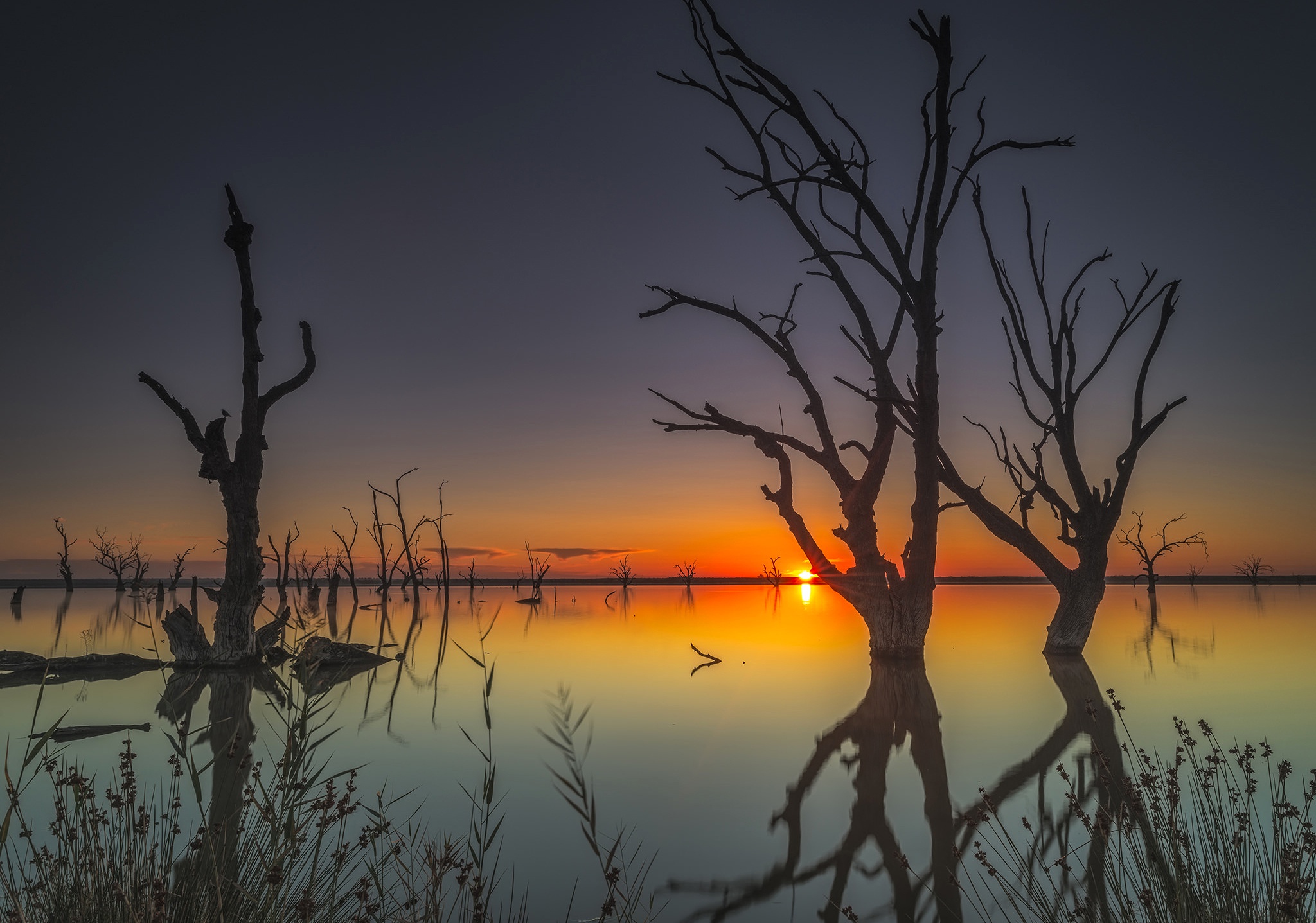 Descarga gratuita de fondo de pantalla para móvil de Agua, Hierba, Árbol, Atardecer, Tierra/naturaleza, Reflejo.