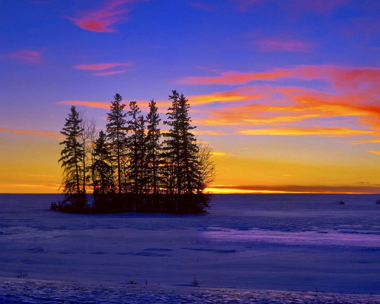 Скачать картинку Островок, Река, Природа, Лед, Деревья, Зима в телефон бесплатно.