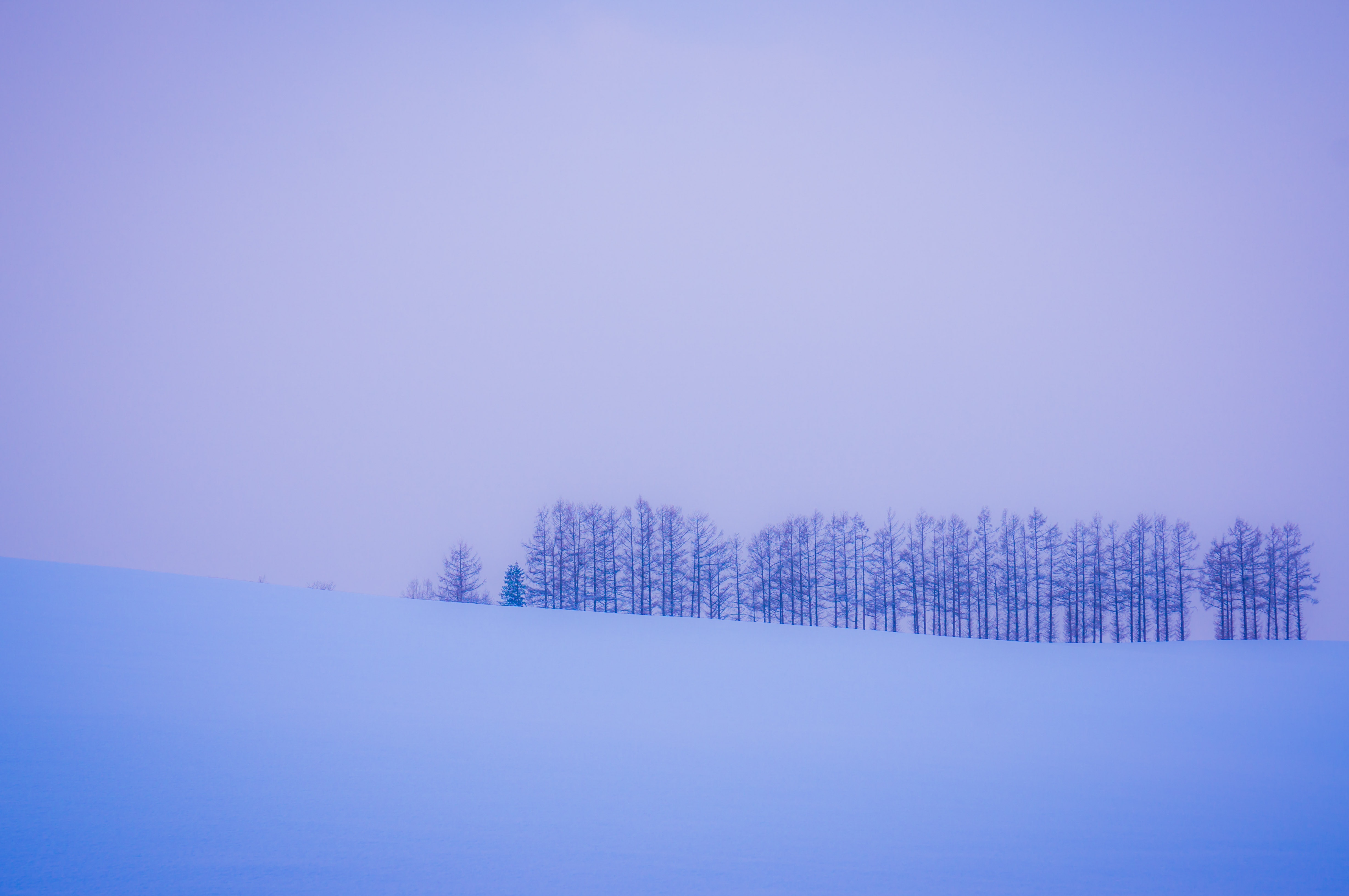 Handy-Wallpaper Horizont, Schnee, Bäume, Winter, Minimalismus kostenlos herunterladen.