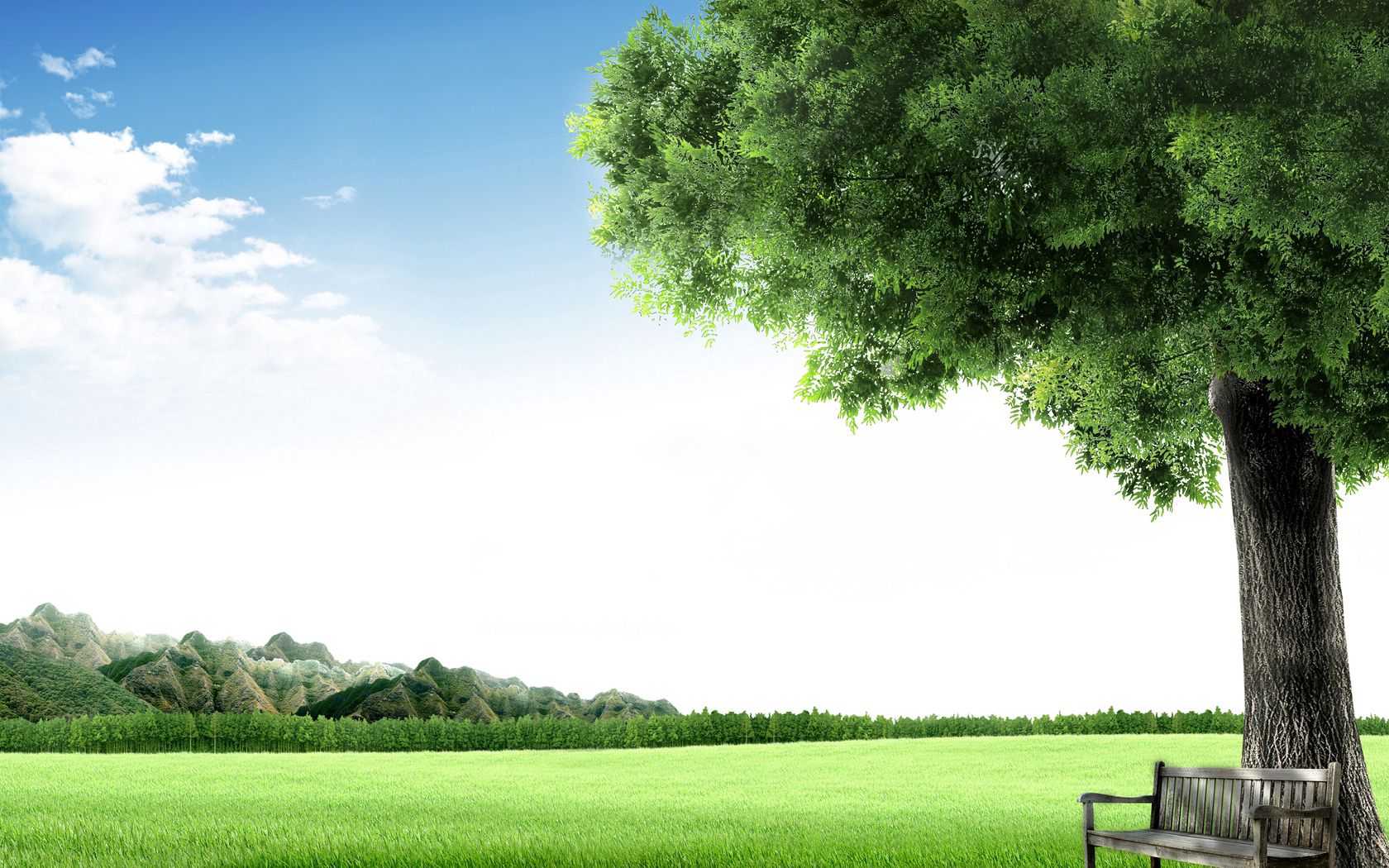 Free download wallpaper Nature, Sky, Tree, Wood, Bench, Meadow on your PC desktop