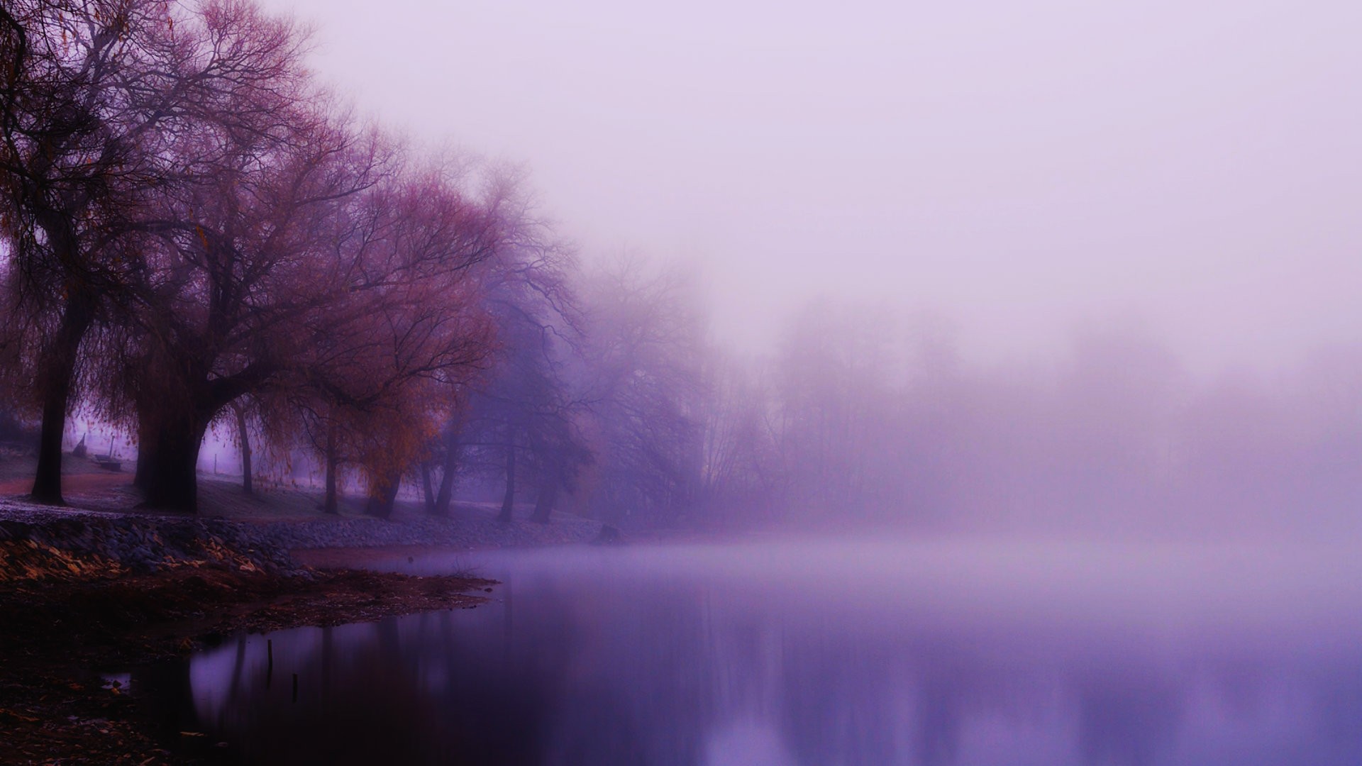 Free download wallpaper Lake, Tree, Fog, Earth, Purple on your PC desktop