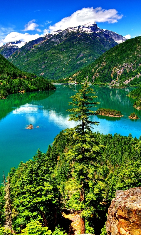 Скачать картинку Пейзаж, Гора, Озеро, Лес, Дерево, Земля, Зеленый, Земля/природа в телефон бесплатно.