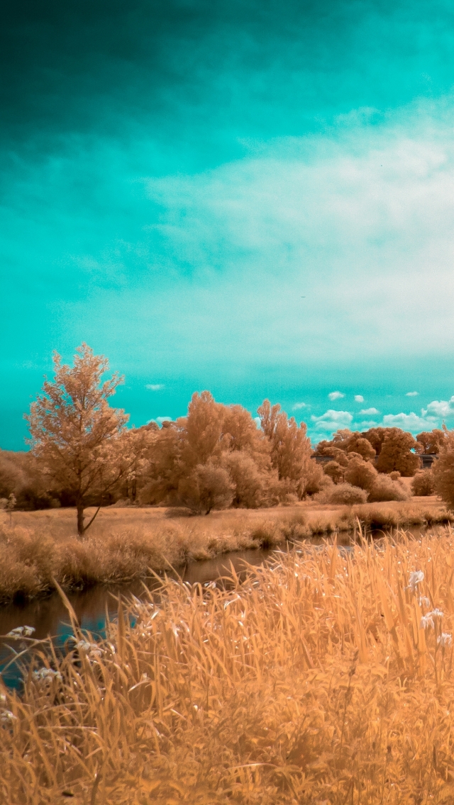 Handy-Wallpaper Landschaft, Natur, Baum, Fluss, Pfad, Weg, Wolke, Erde/natur kostenlos herunterladen.