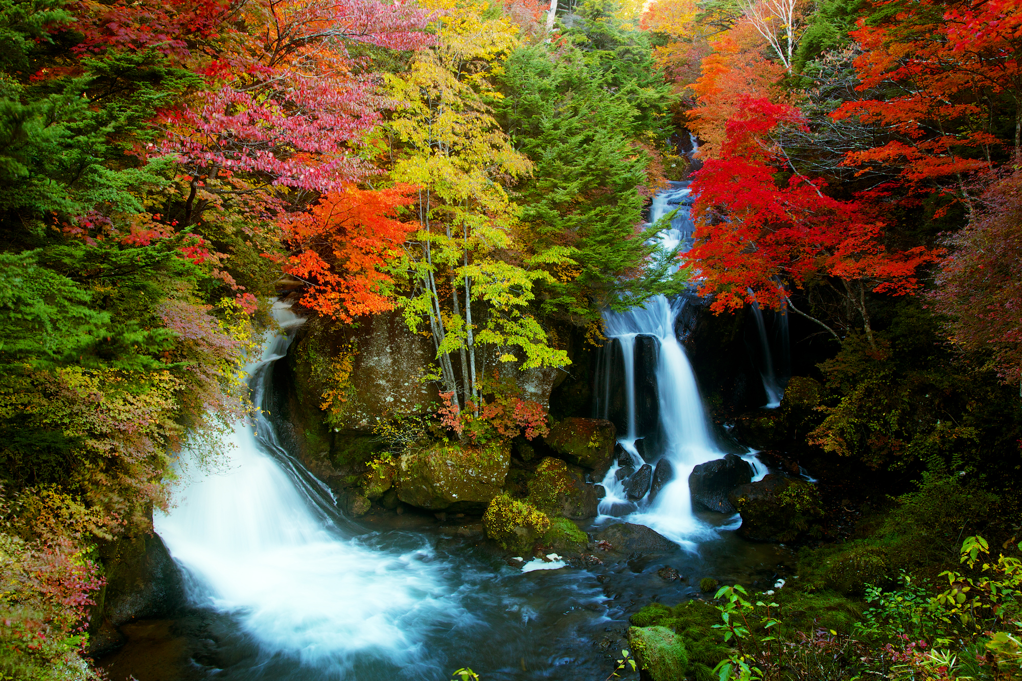 無料モバイル壁紙秋, 滝, 森, 地球をダウンロードします。