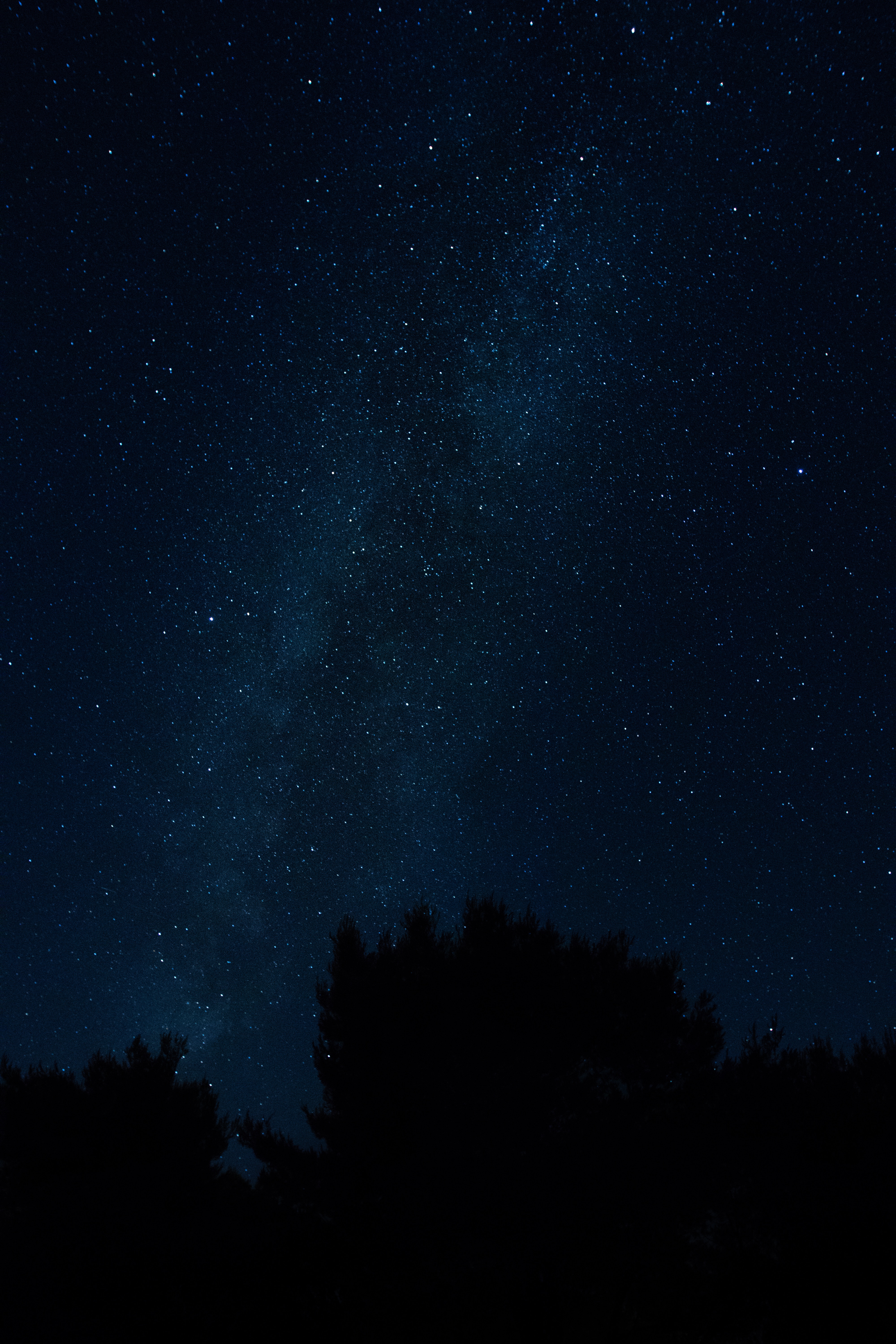 117274 скачать обои ночной пейзаж, темные, звезды, звездное небо, деревья, ночь - заставки и картинки бесплатно