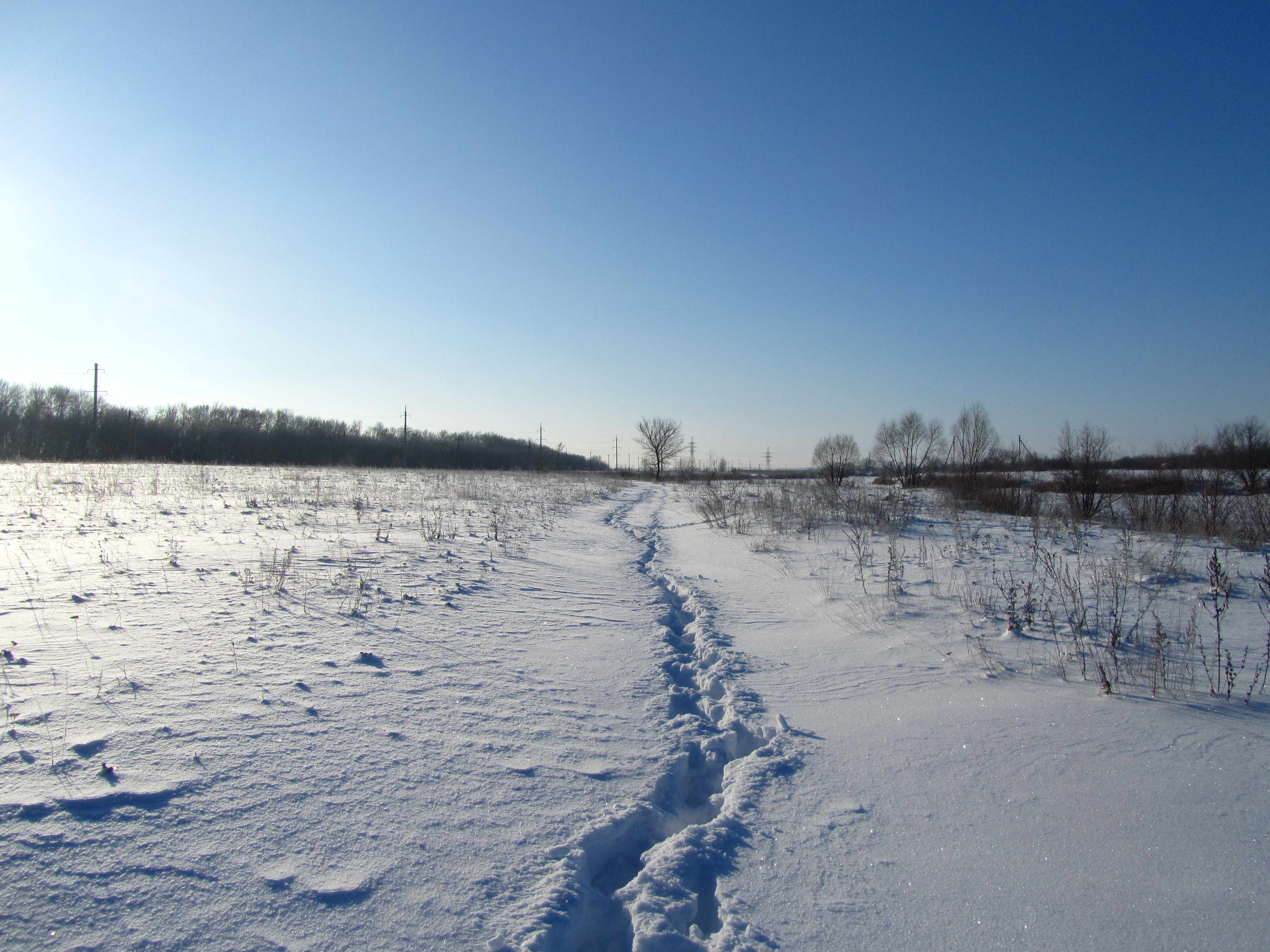 Baixe gratuitamente a imagem Inverno, Fotografia na área de trabalho do seu PC