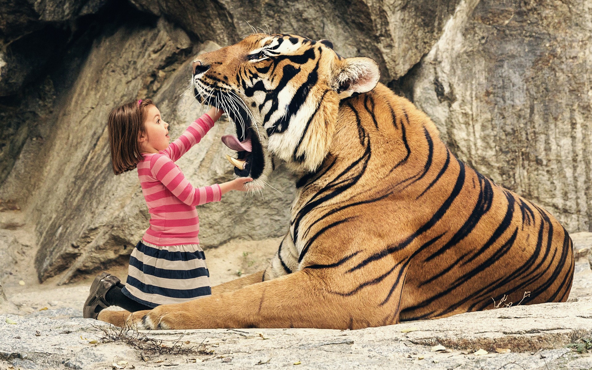 306666 descargar fondo de pantalla niño, animales, tigre, humor, gatos: protectores de pantalla e imágenes gratis