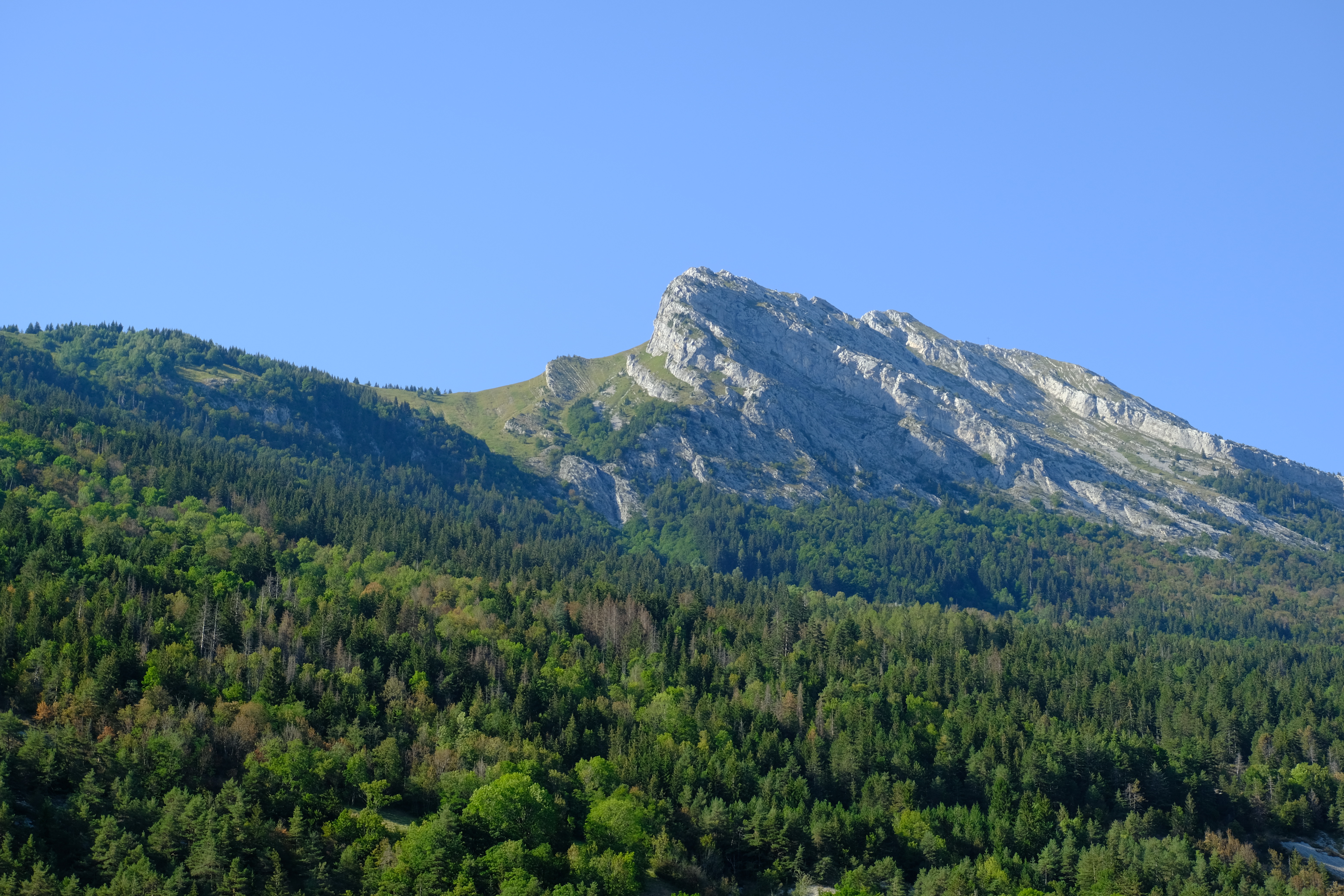 Laden Sie das Natur, Berg, Wald, Landschaft, Bäume-Bild kostenlos auf Ihren PC-Desktop herunter