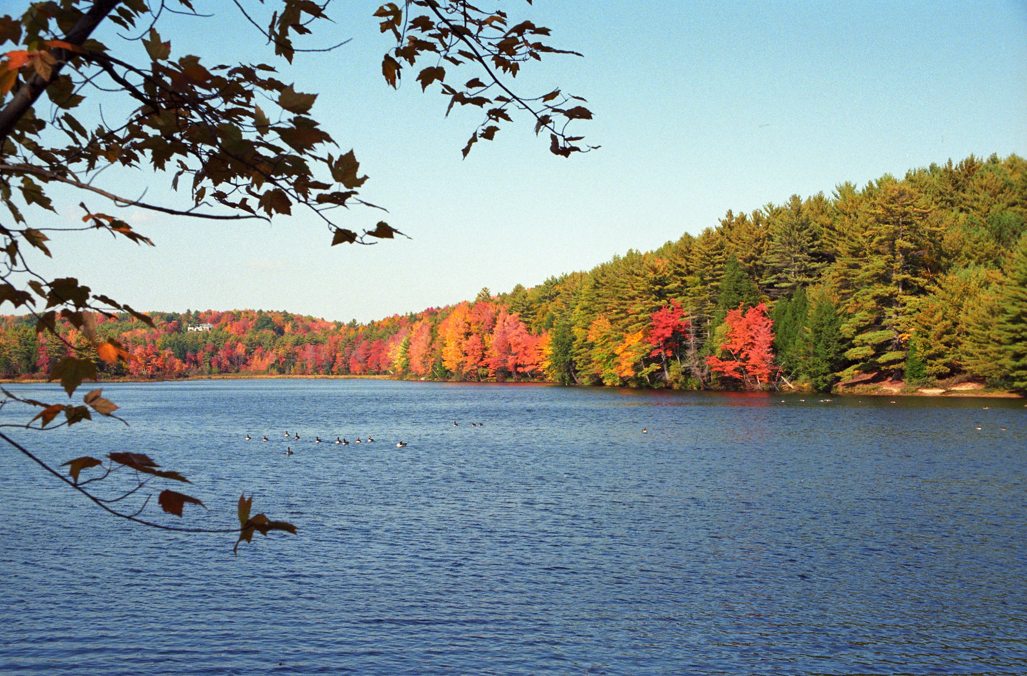 493433 скачать картинку фотографии, озеро, осень, массачусетс, озера - обои и заставки бесплатно