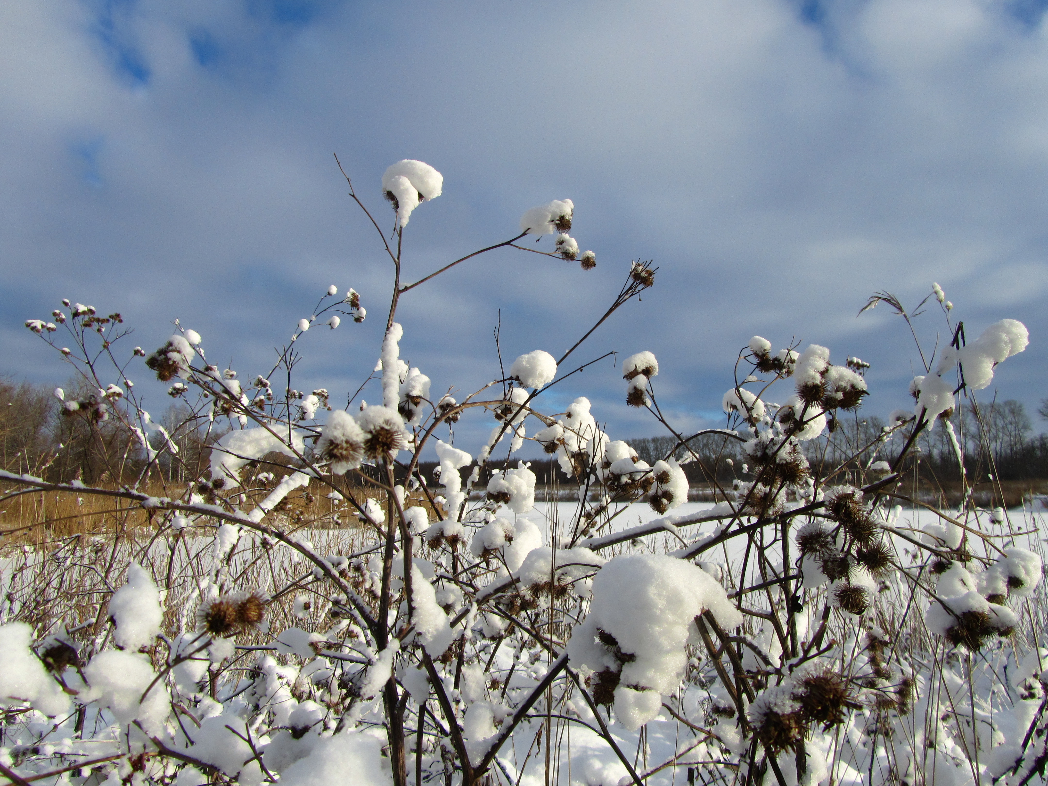 Téléchargez gratuitement l'image Hiver, Terre/nature sur le bureau de votre PC