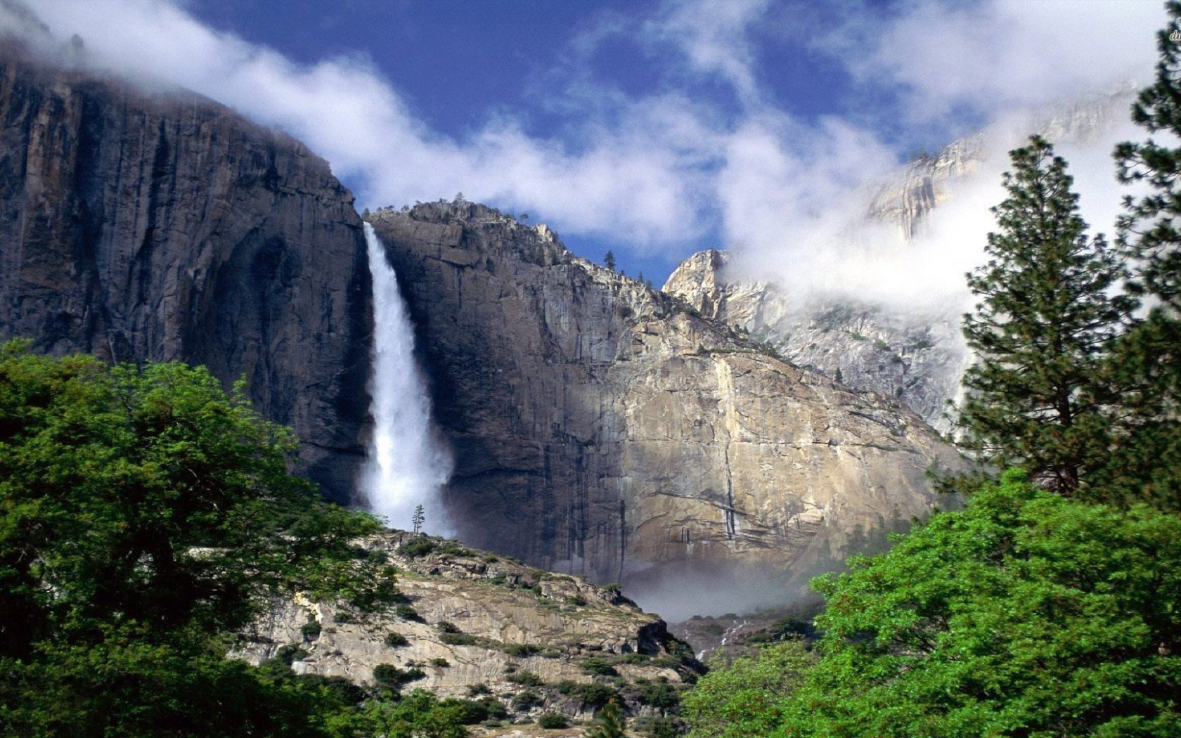 Download mobile wallpaper Waterfall, Forest, Tree, Earth, Yosemite Falls for free.