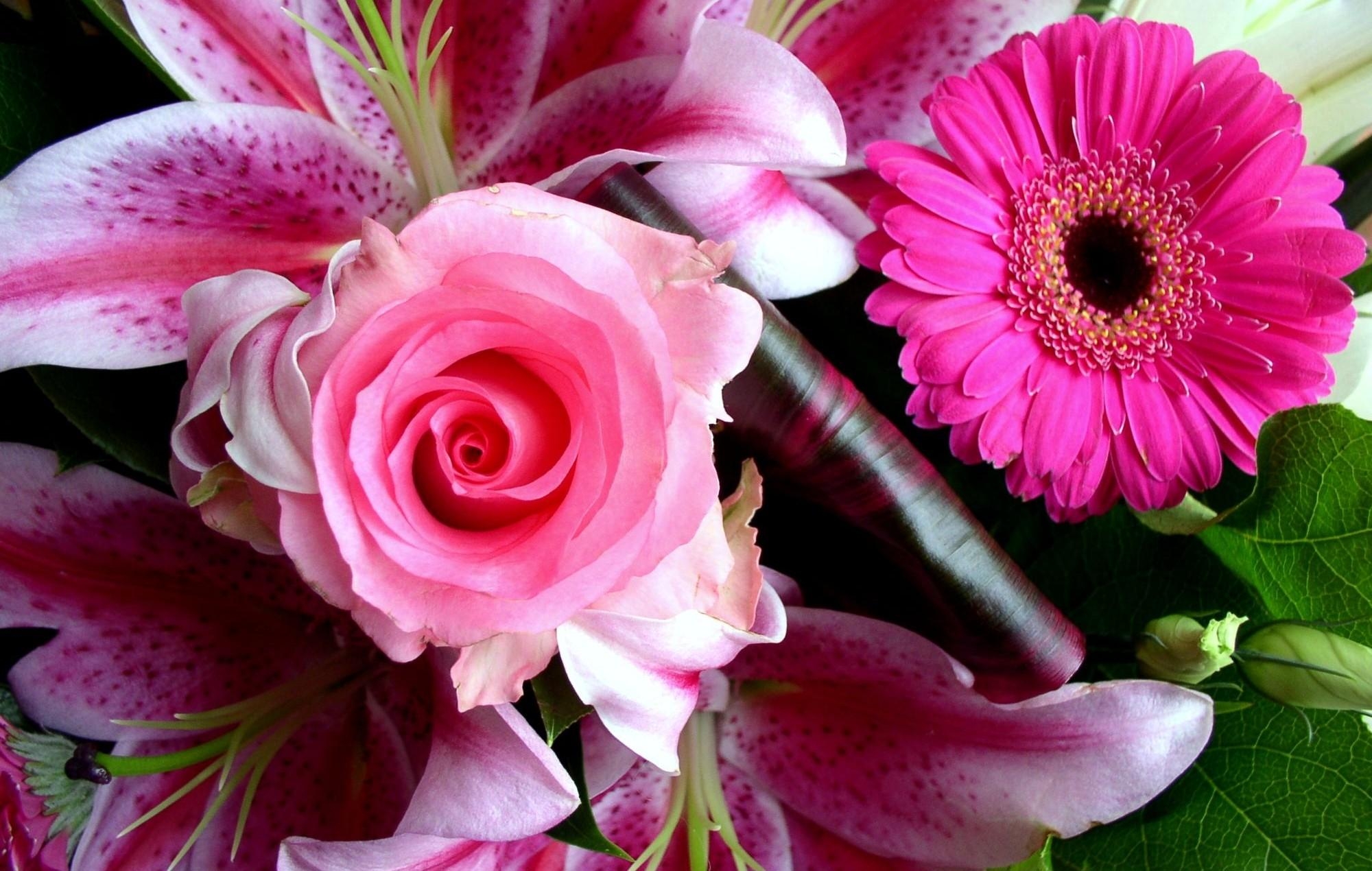 Free download wallpaper Lilies, Gerbera, Flowers, Close Up, Bouquet, Rose, Rose Flower on your PC desktop