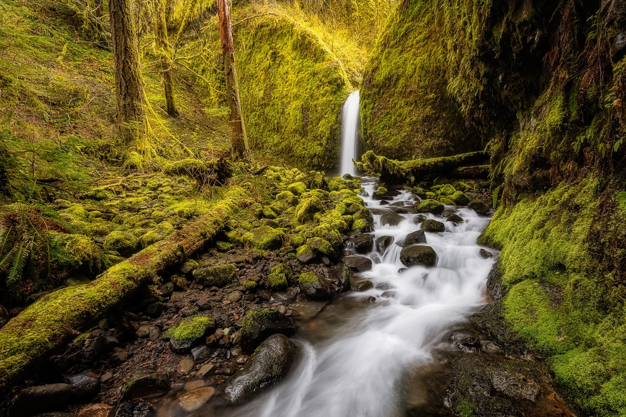 Download mobile wallpaper Nature, Waterfalls, Waterfall, Earth, Moss, Stream for free.