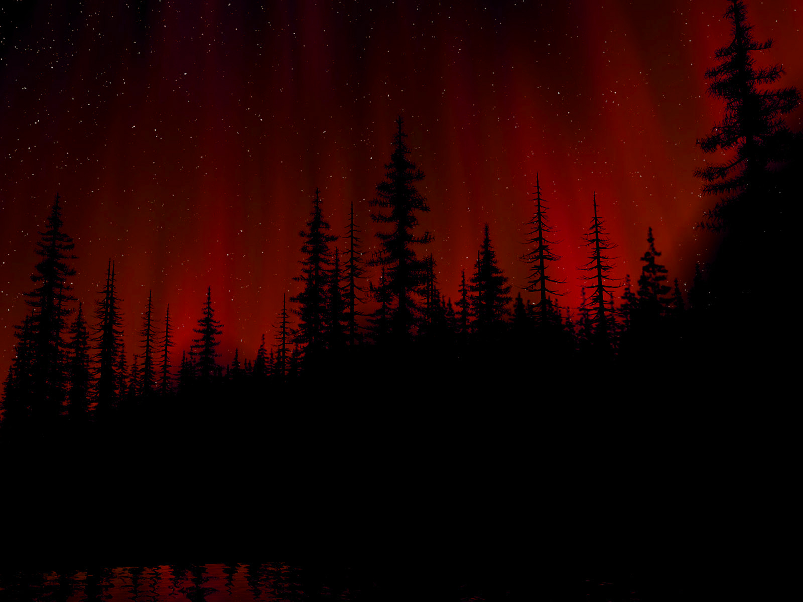 Laden Sie das Licht, Wald, Düster-Bild kostenlos auf Ihren PC-Desktop herunter