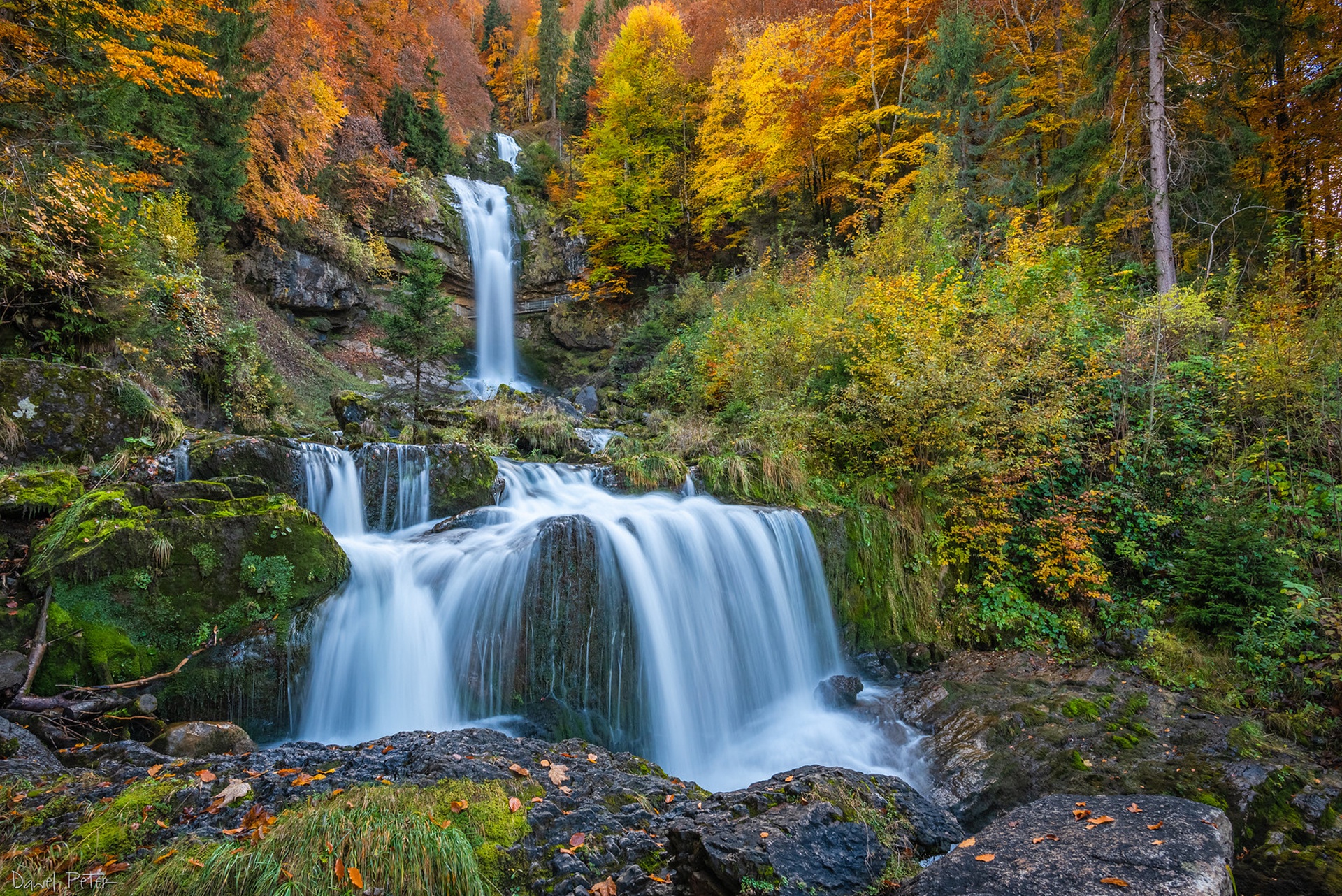 Baixe gratuitamente a imagem Outono, Cachoeiras, Floresta, Terra/natureza, Cachoeira na área de trabalho do seu PC