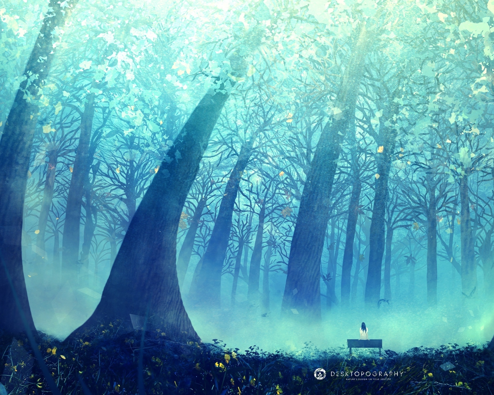 Free download wallpaper Forest, Tree, Artistic, Desktopography on your PC desktop