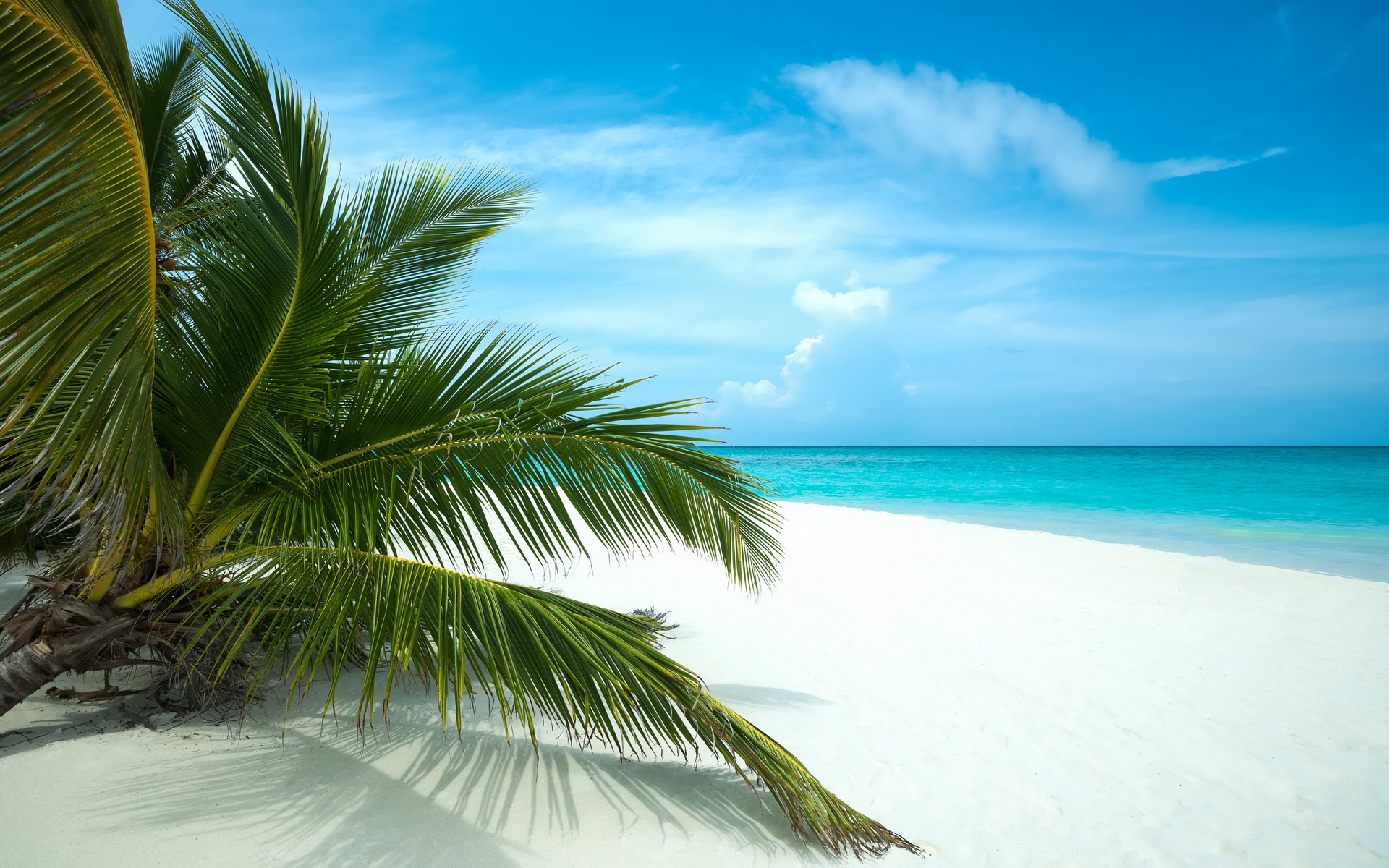 Descarga gratuita de fondo de pantalla para móvil de Playa, Tierra/naturaleza.