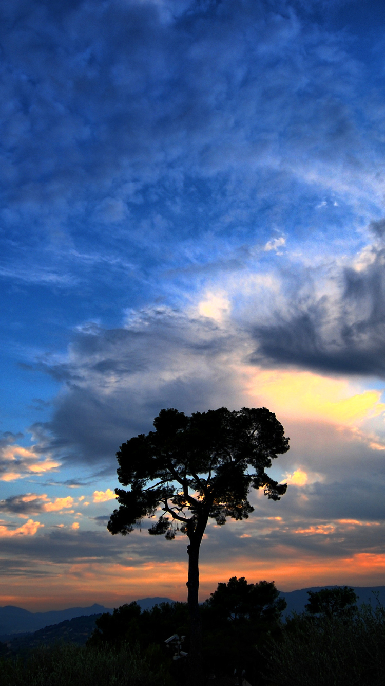 Download mobile wallpaper Sunset, Sky, Tree, Earth, Cloud for free.