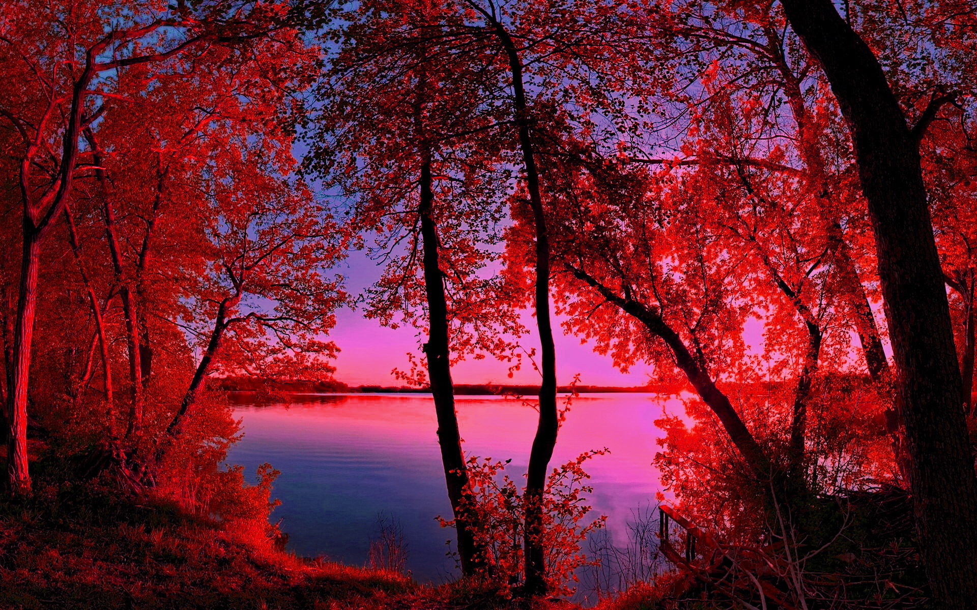 Laden Sie das See, Baum, Szene, Erde/natur-Bild kostenlos auf Ihren PC-Desktop herunter
