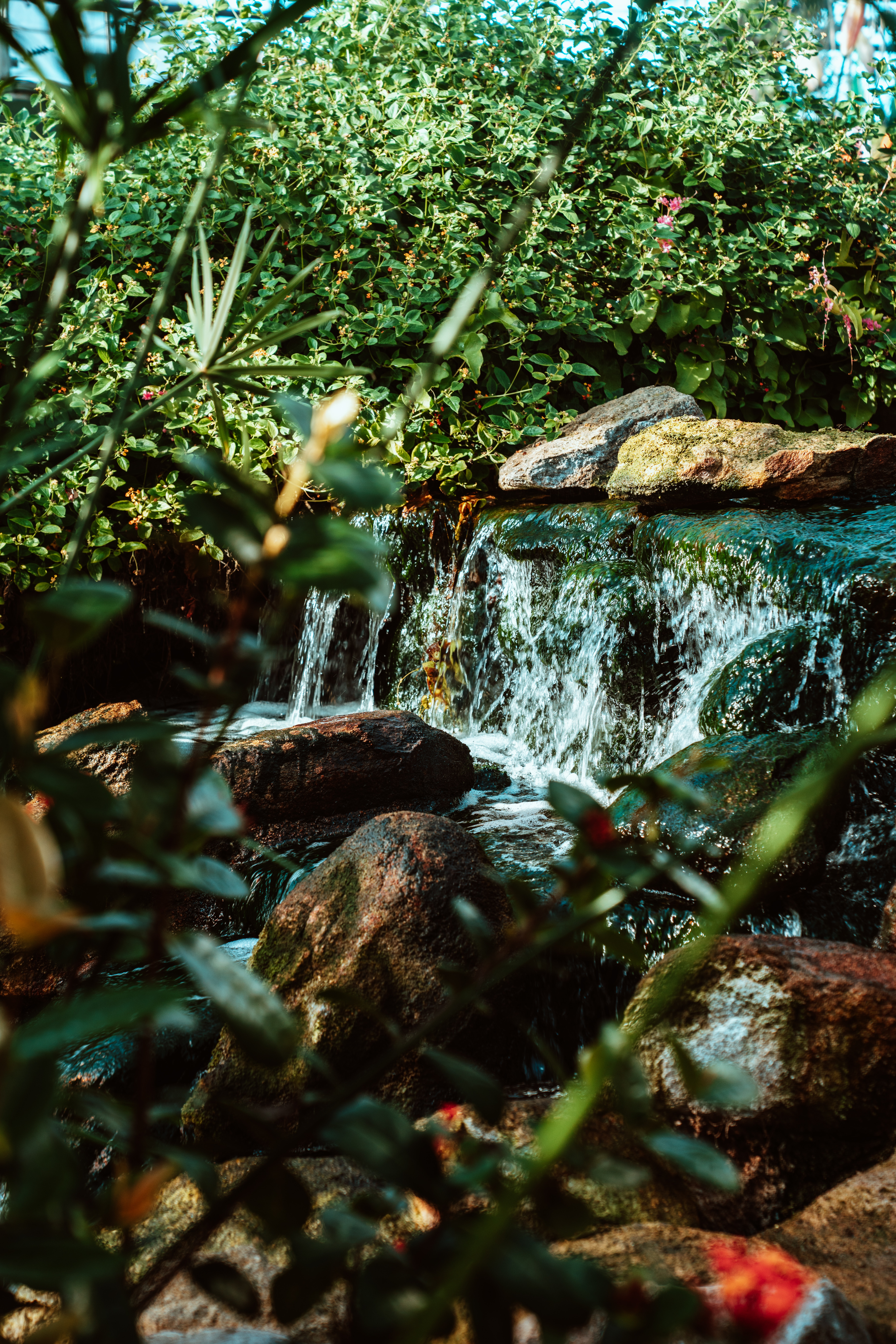 Descarga gratis la imagen Naturaleza, Agua, Ríos, Stones, Arbusto, Cascada en el escritorio de tu PC