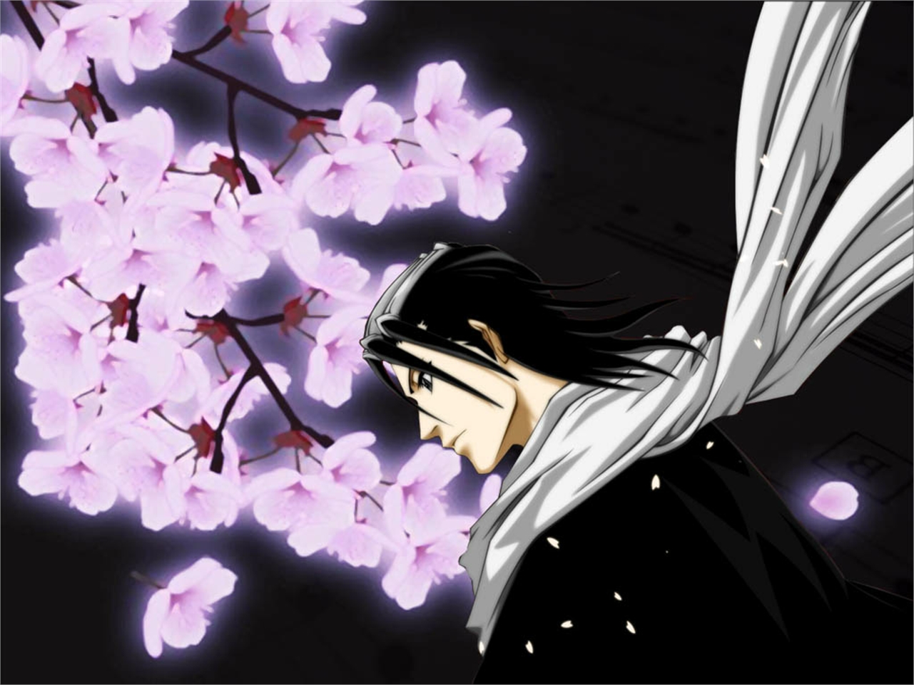 Téléchargez gratuitement l'image Bleach, Animé, Byakuya Kuchiki sur le bureau de votre PC