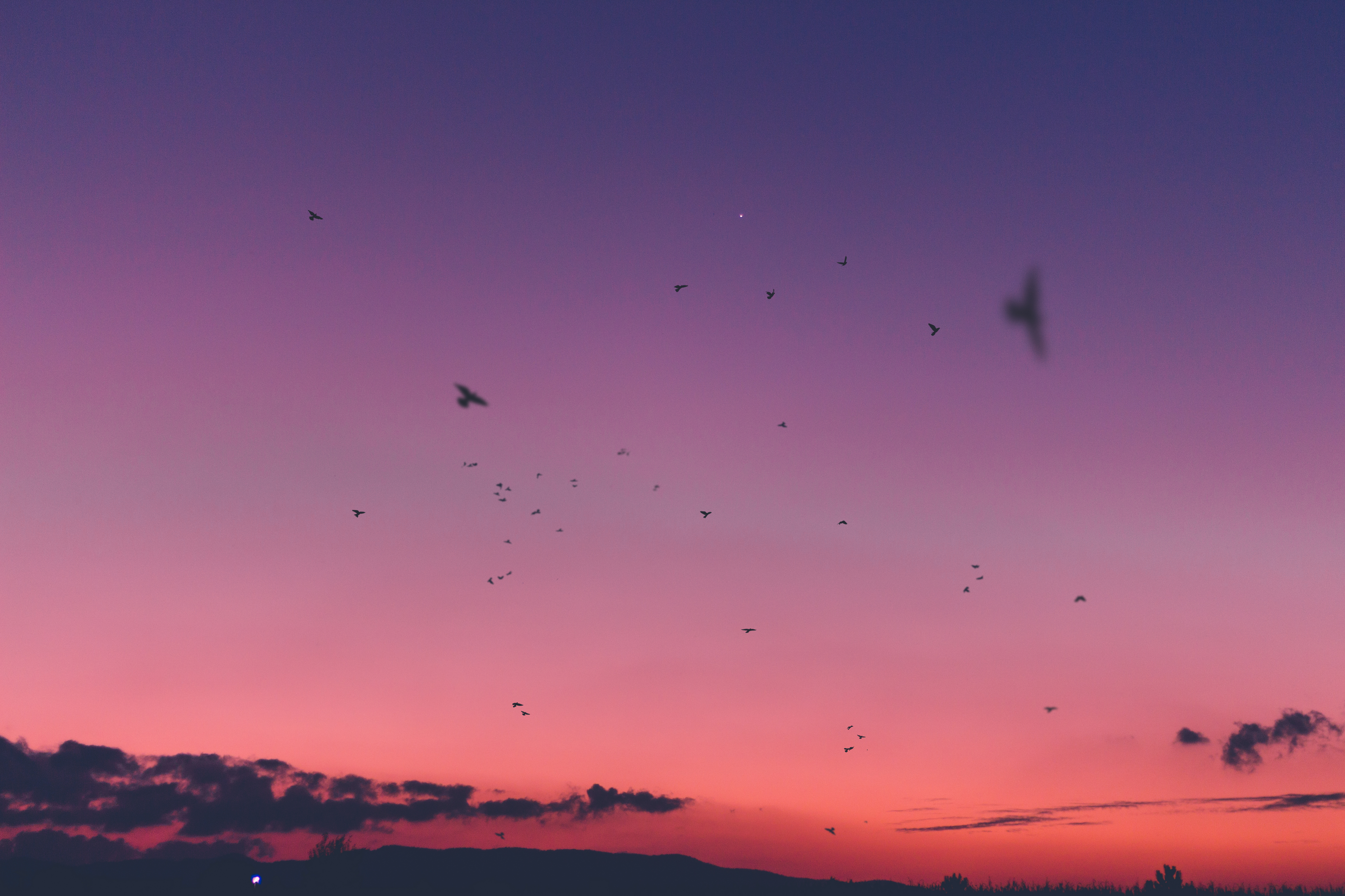 Free download wallpaper Nature, Sky, Sunset, Birds on your PC desktop