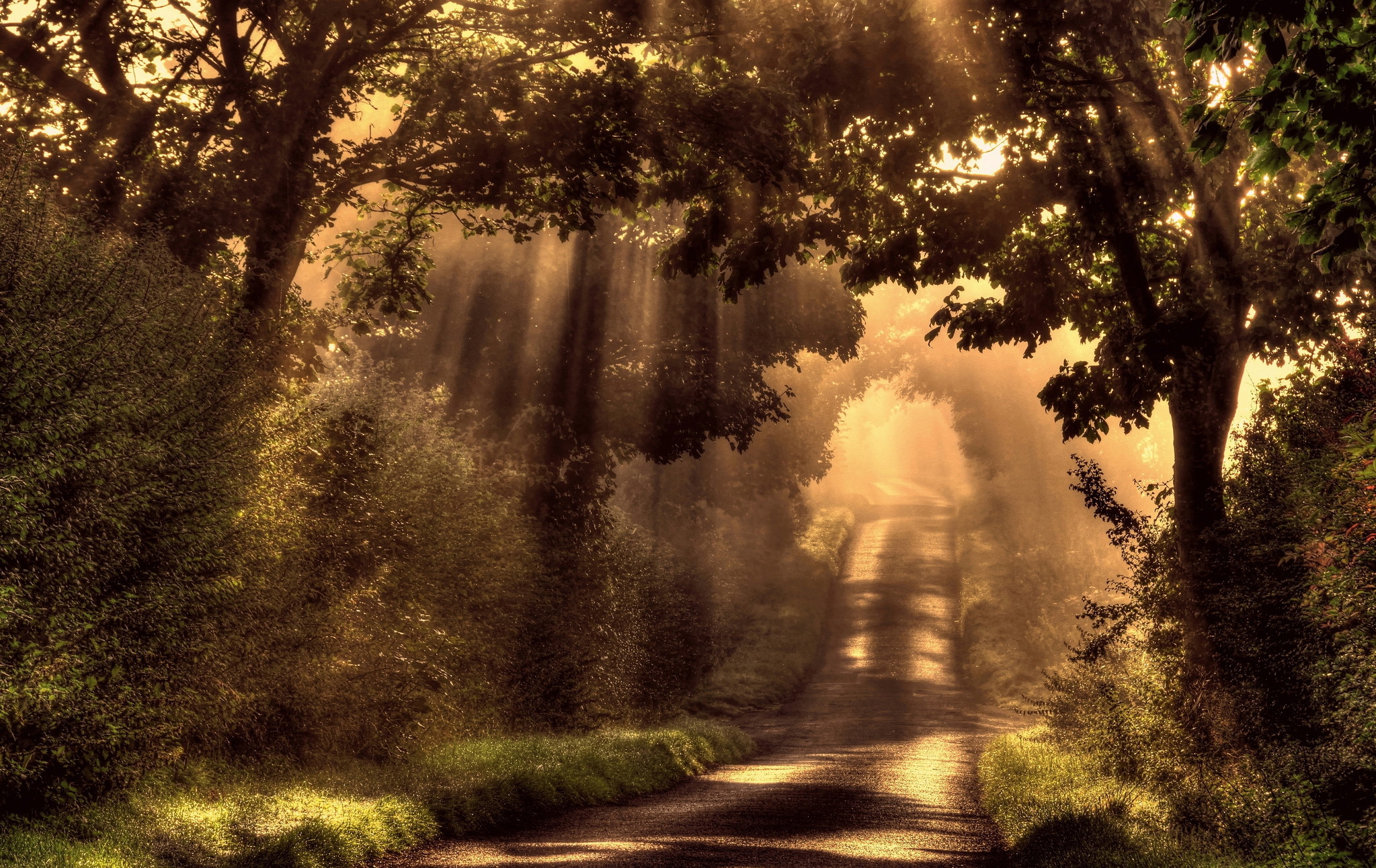 Laden Sie das Natur, Straße, Baum, Sonnig, Sonnenstrahl, Menschengemacht-Bild kostenlos auf Ihren PC-Desktop herunter