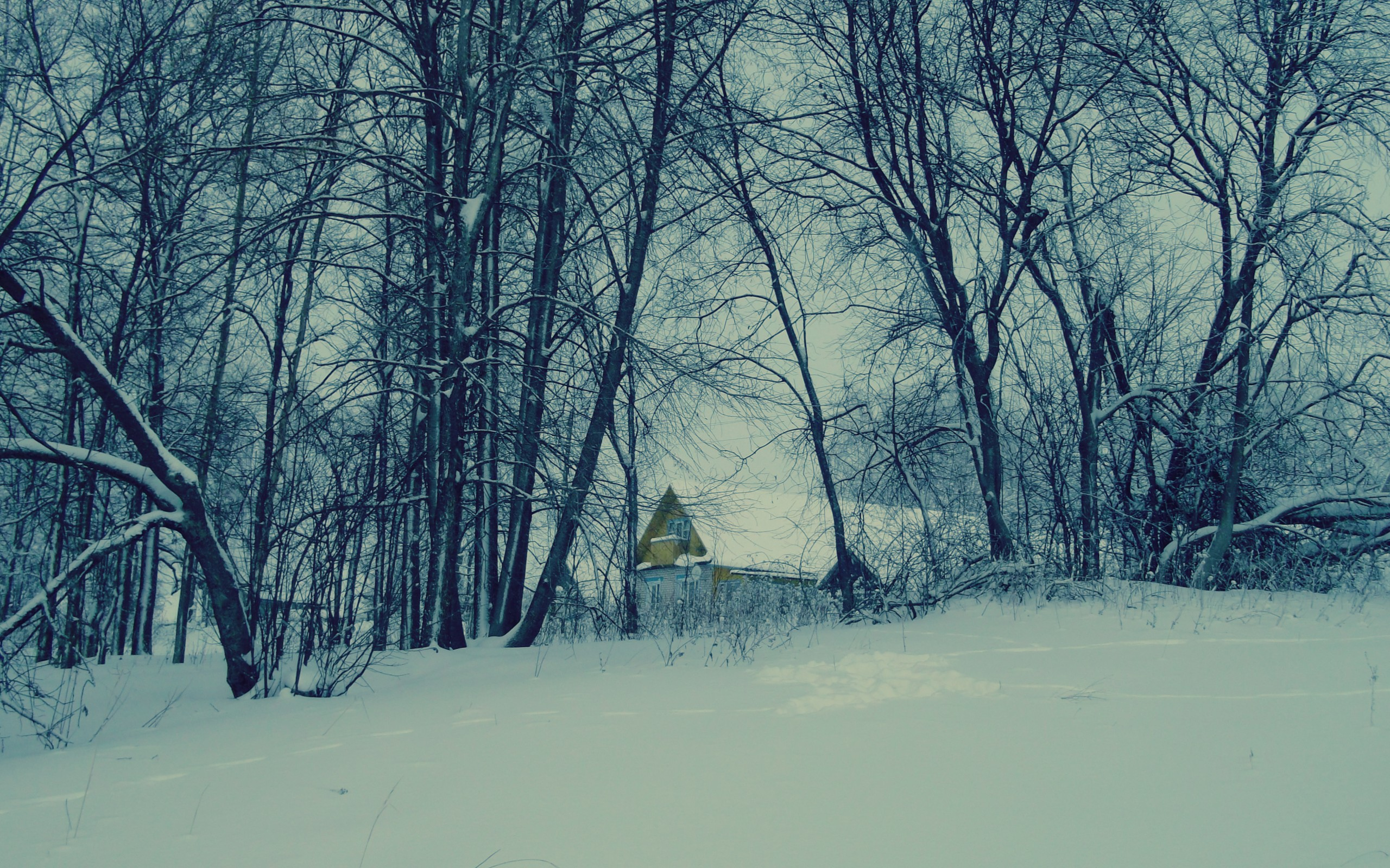 Handy-Wallpaper Winter, Schnee, Baum, Haus, Fotografie kostenlos herunterladen.