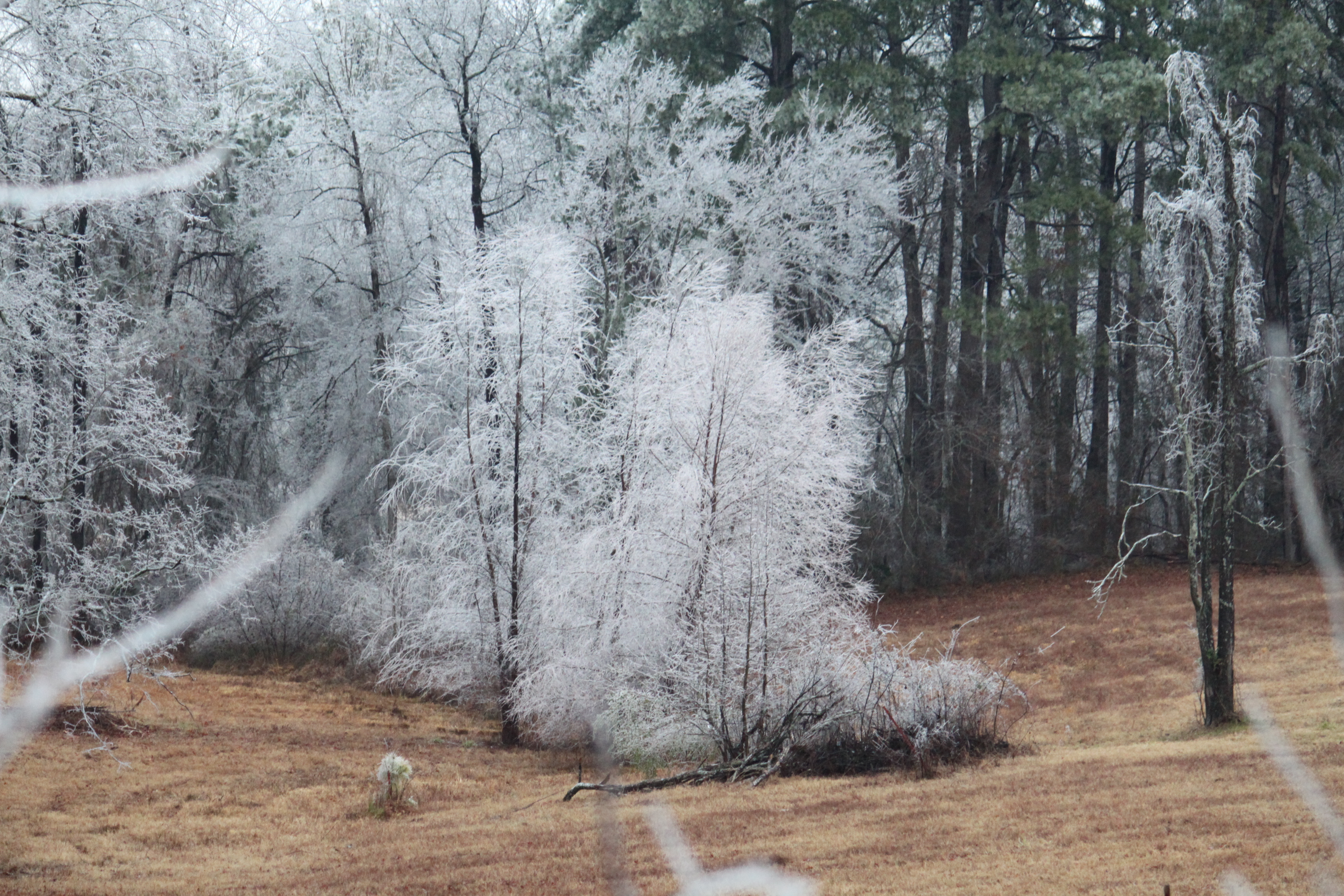 Laden Sie das Winter, Erde/natur-Bild kostenlos auf Ihren PC-Desktop herunter