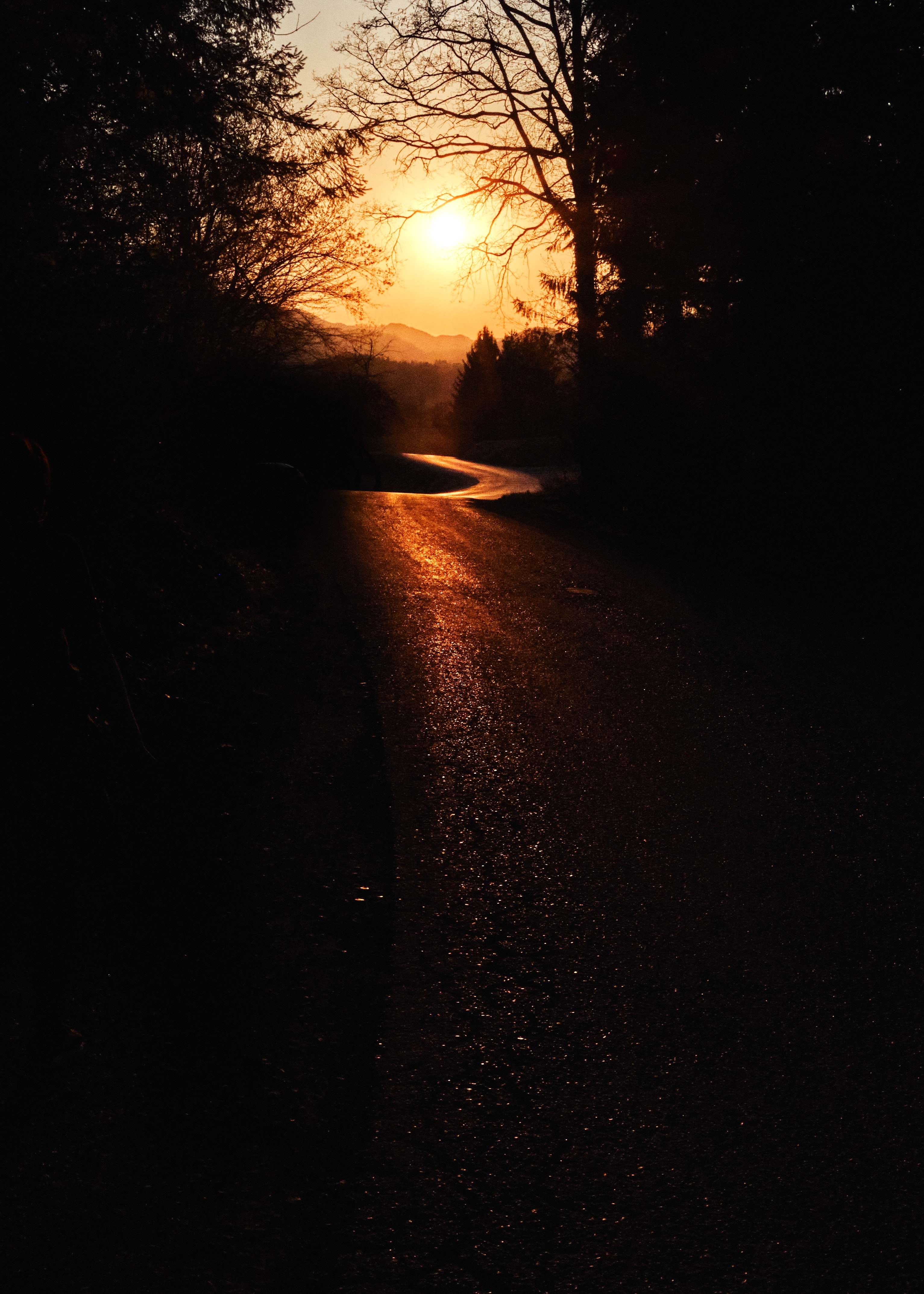 Download mobile wallpaper Road, Trees, Nature, Sunset, Dark for free.