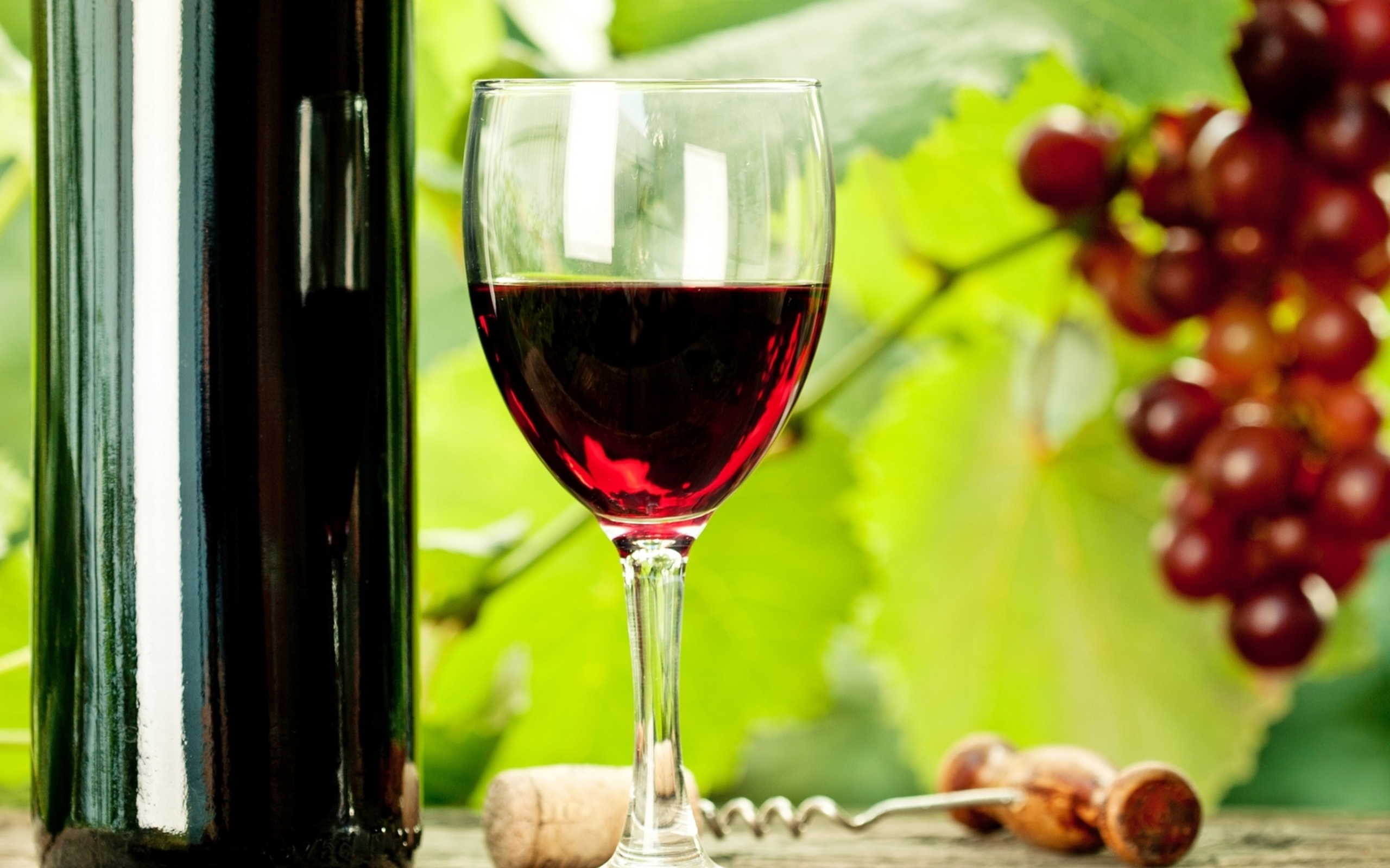 Download mobile wallpaper Food, Wine for free.