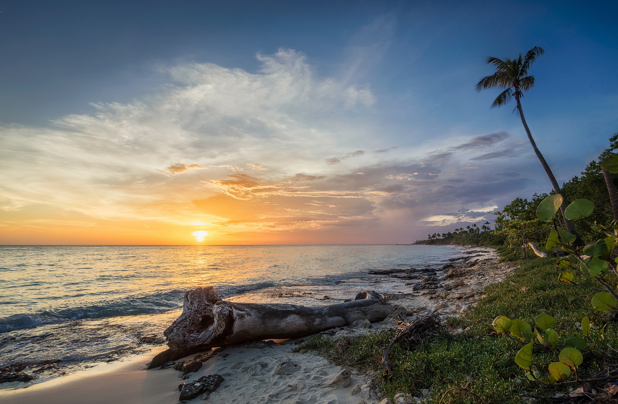 Download mobile wallpaper Nature, Beach, Horizon, Ocean, Sunrise, Earth for free.