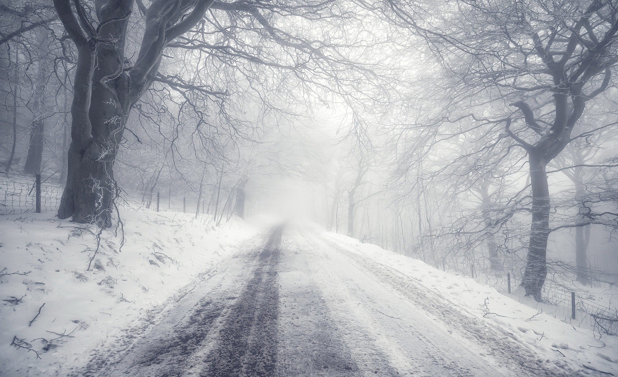 Download mobile wallpaper Winter, Nature, Snow, Road, Tree, Fog, Earth for free.