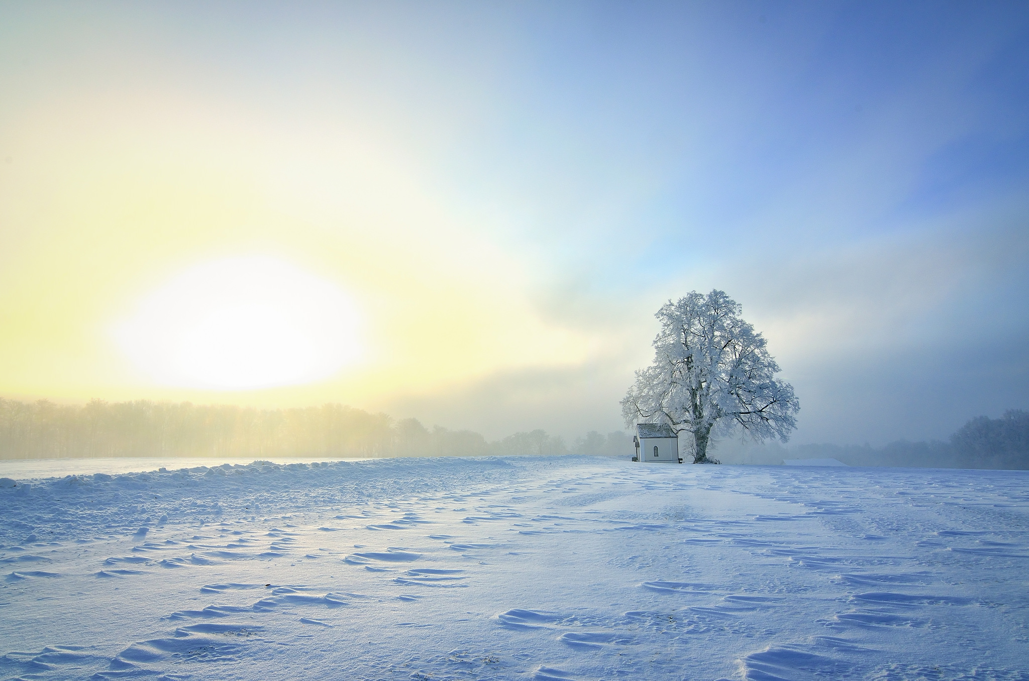 Baixar papel de parede para celular de Inverno, Céu, Neve, Árvore, Terra, Igreja, Fotografia gratuito.