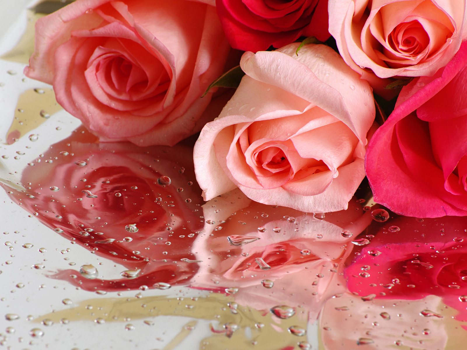 Скачать обои бесплатно Букеты, Капли, Растения, Розы, Цветы картинка на рабочий стол ПК
