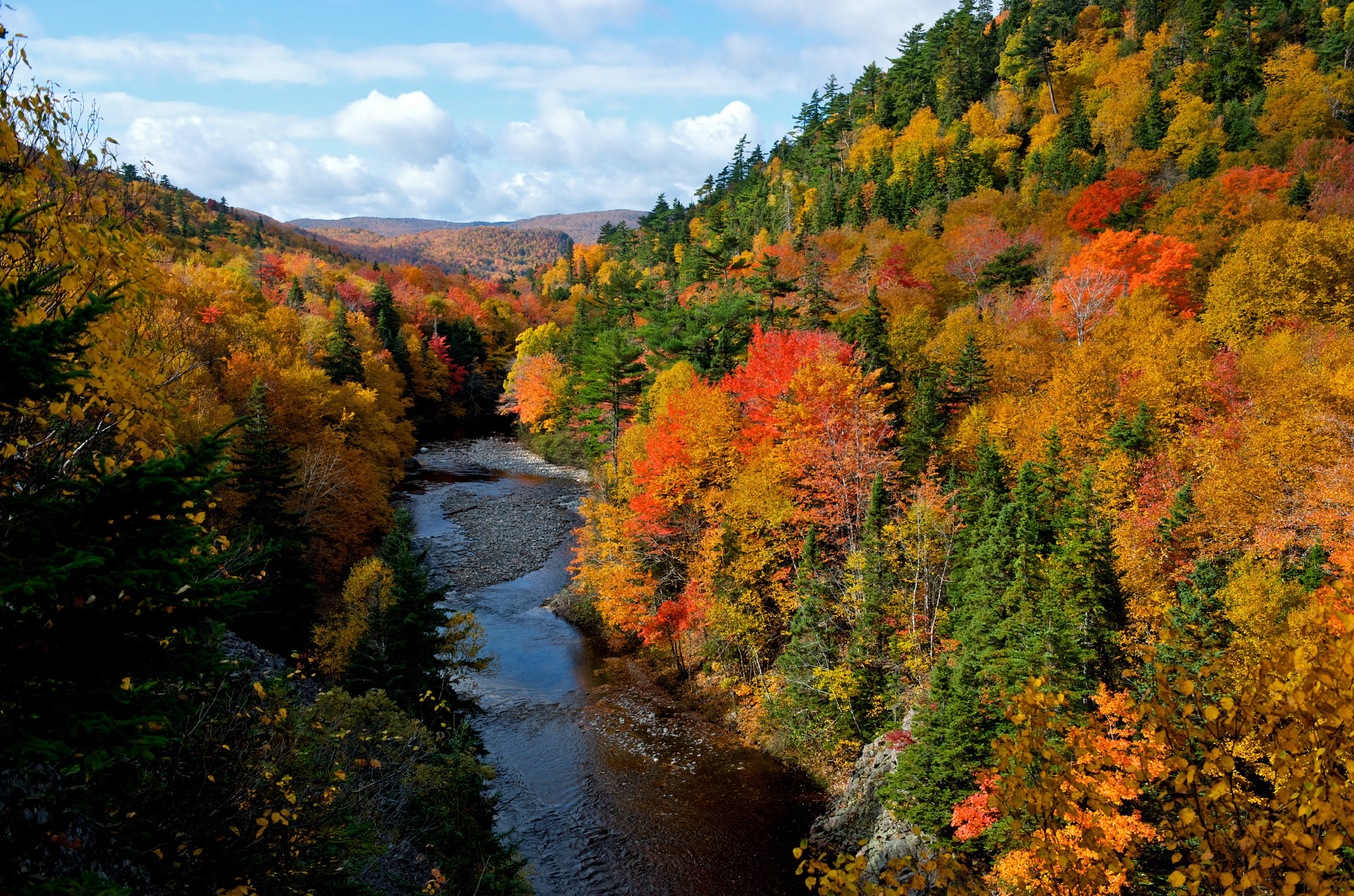 Free download wallpaper Forest, Tree, Fall, Earth, River on your PC desktop