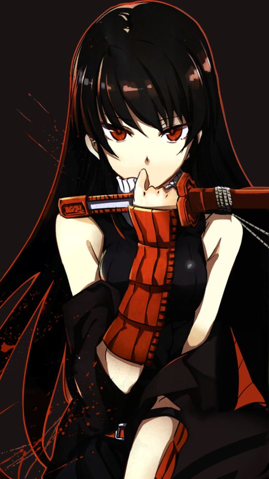 Download mobile wallpaper Anime, Akame Ga Kill! for free.